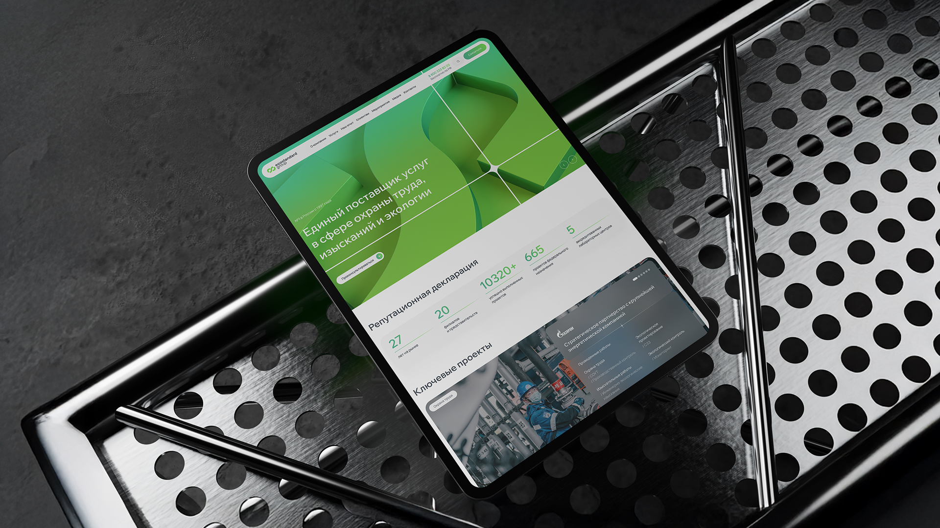 РЕБРЕНДИНГ ECOSTANDARD GROUP — Изображение №4 — Брендинг, Графика на Dprofile