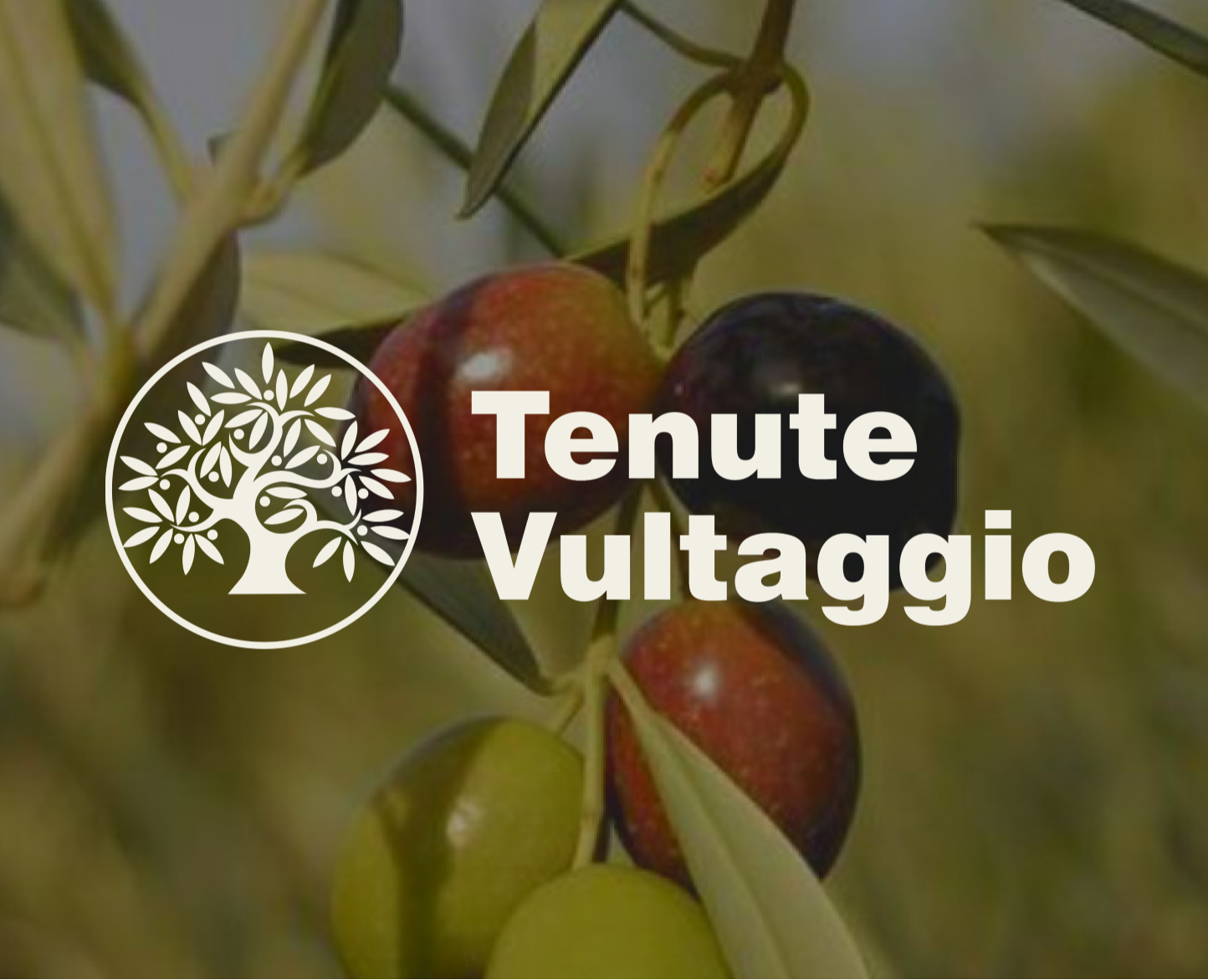 Ребрендинг Tenute Vultaggio на Dprofile