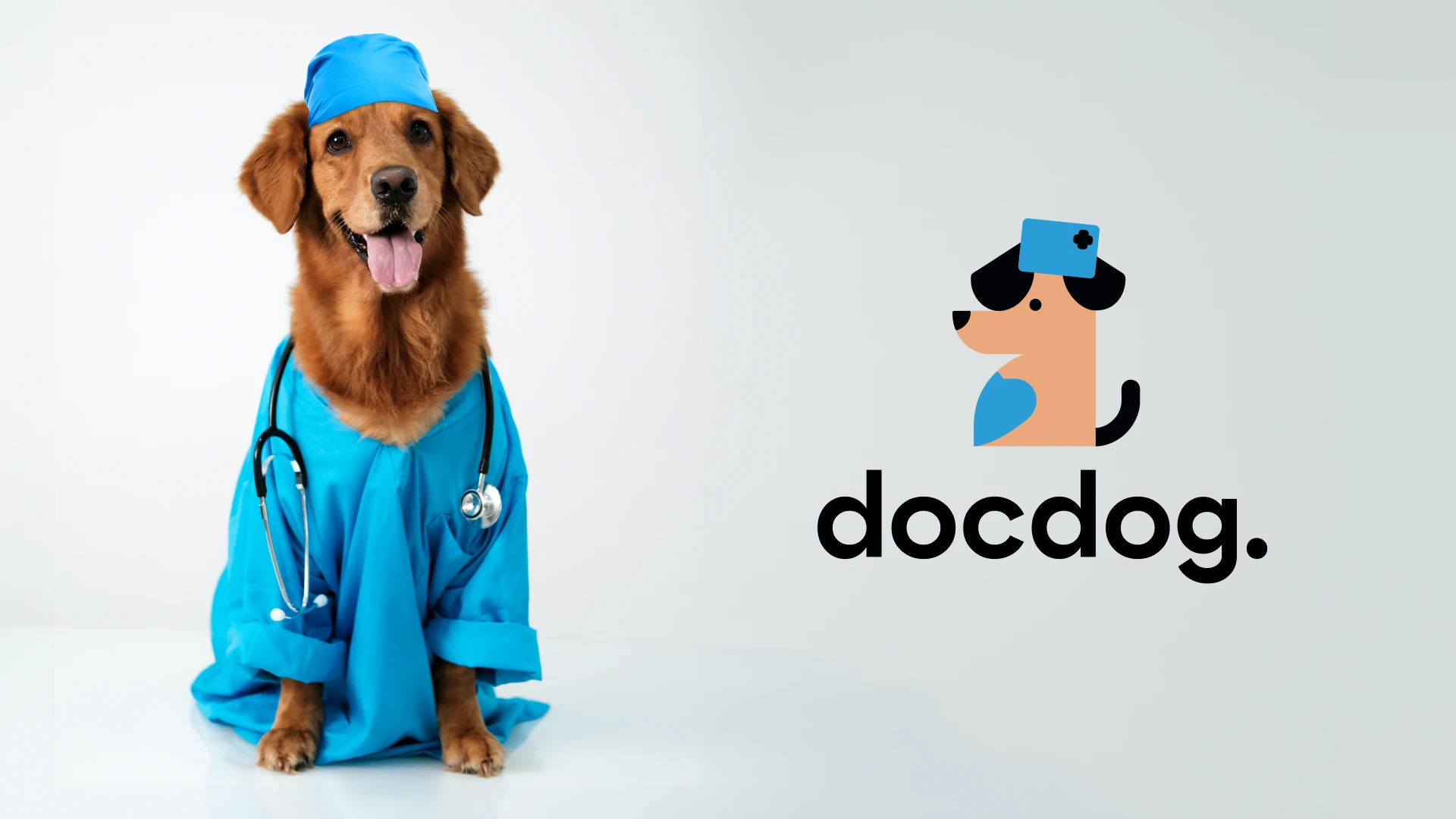 Ветеринарная клиника docdog. | Логотип — Изображение №2 — Брендинг, Графика на Dprofile