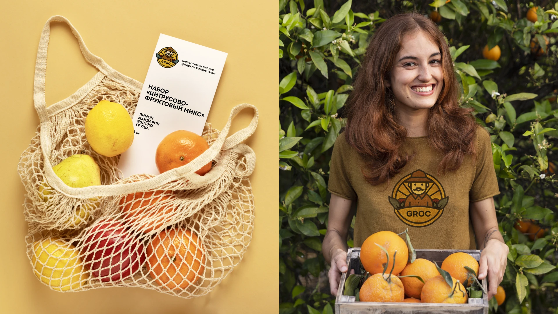 Агрохолдинг "Groc" | Логотип — Изображение №7 — Брендинг на Dprofile