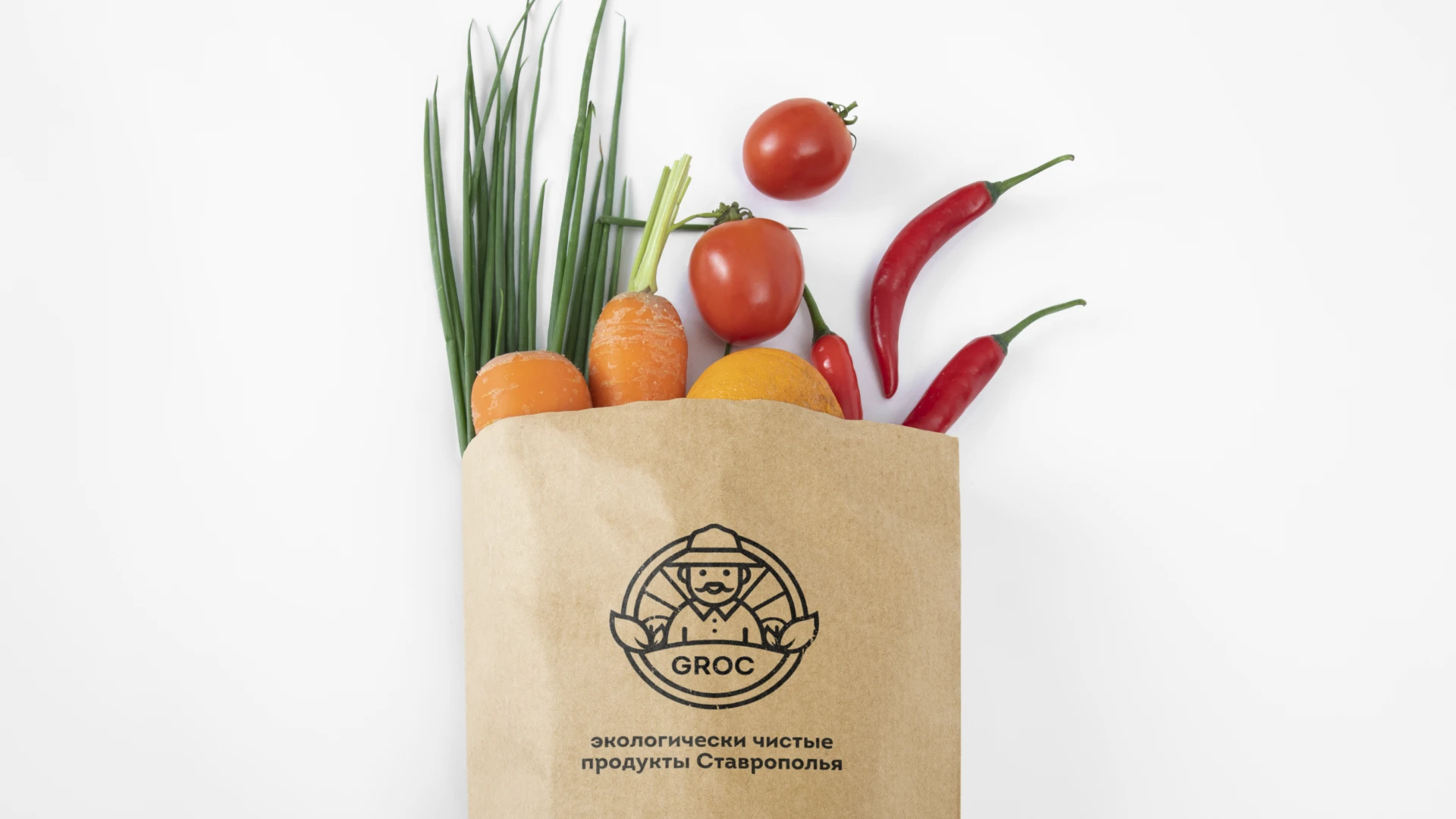 Агрохолдинг "Groc" | Логотип — Изображение №4 — Брендинг на Dprofile