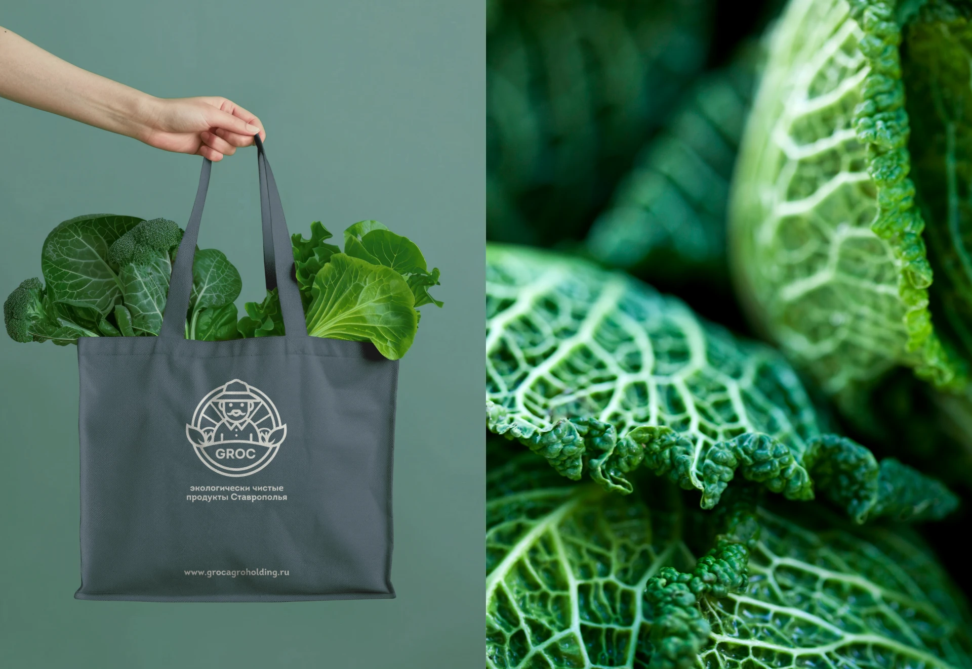 Агрохолдинг "Groc" | Логотип — Изображение №5 — Брендинг на Dprofile