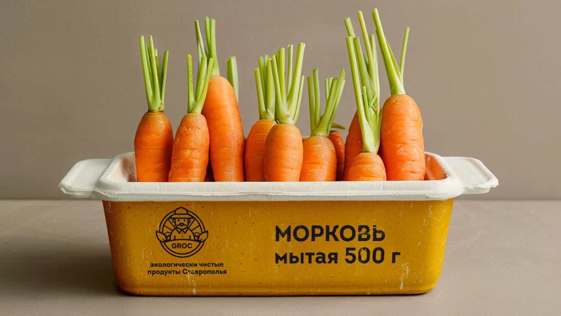 Агрохолдинг "Groc" | Логотип — Изображение №8 — Брендинг на Dprofile