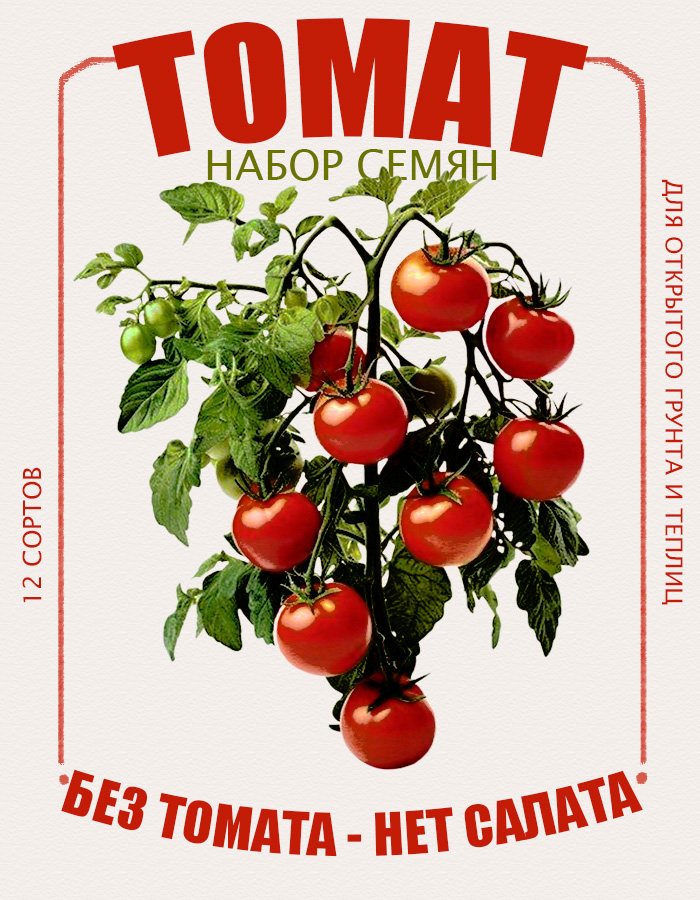 Дизайн обложки — Изображение №2 — Брендинг, Графика на Dprofile