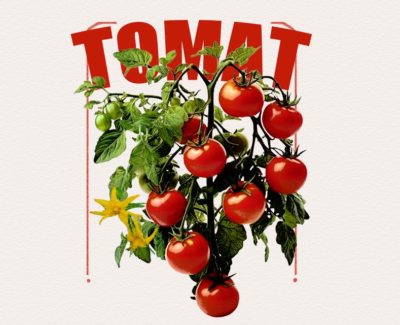 Дизайн обложки — Брендинг, Графика на Dprofile