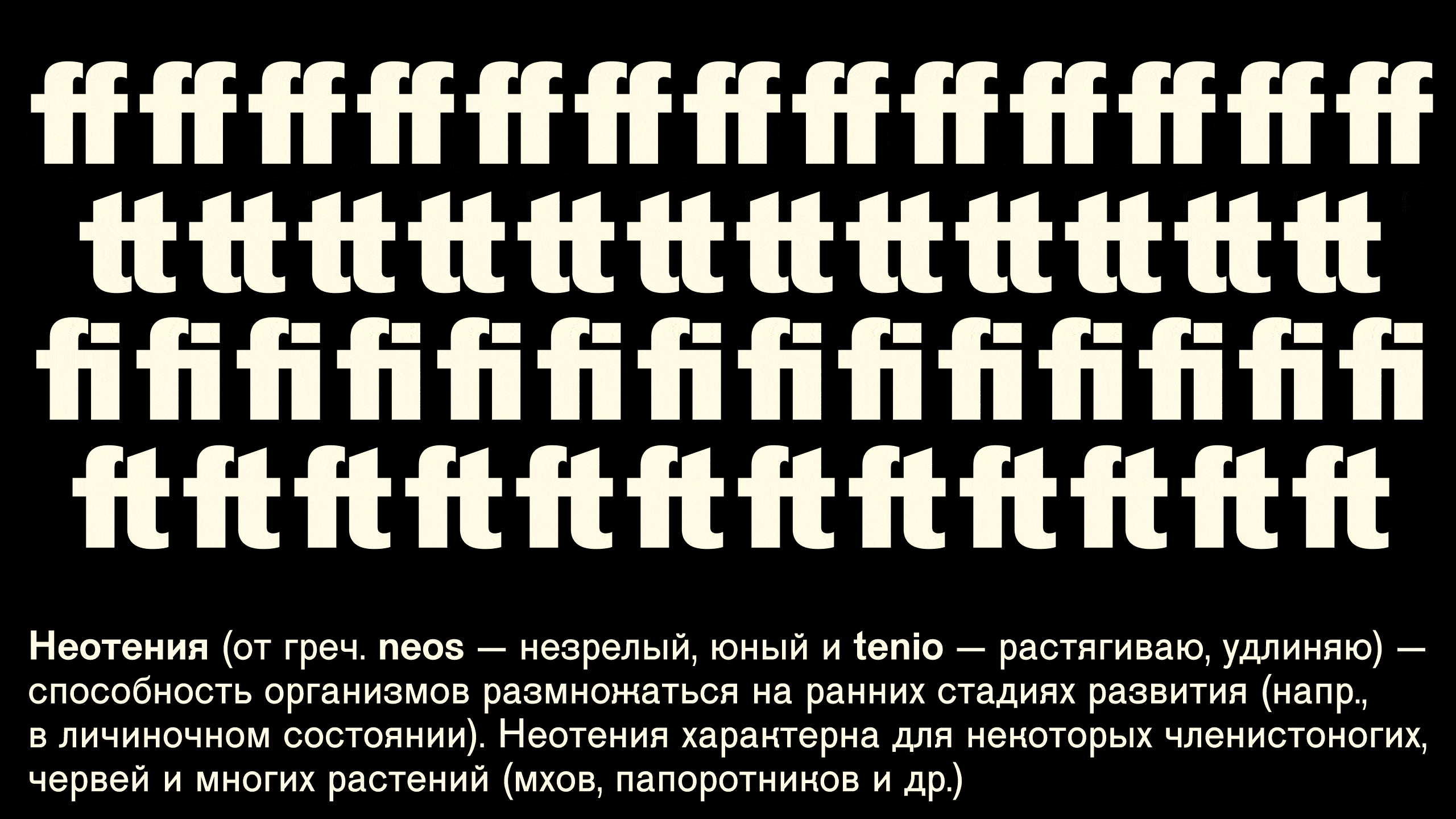 TTF Grotesk — Изображение №18 — Графика на Dprofile