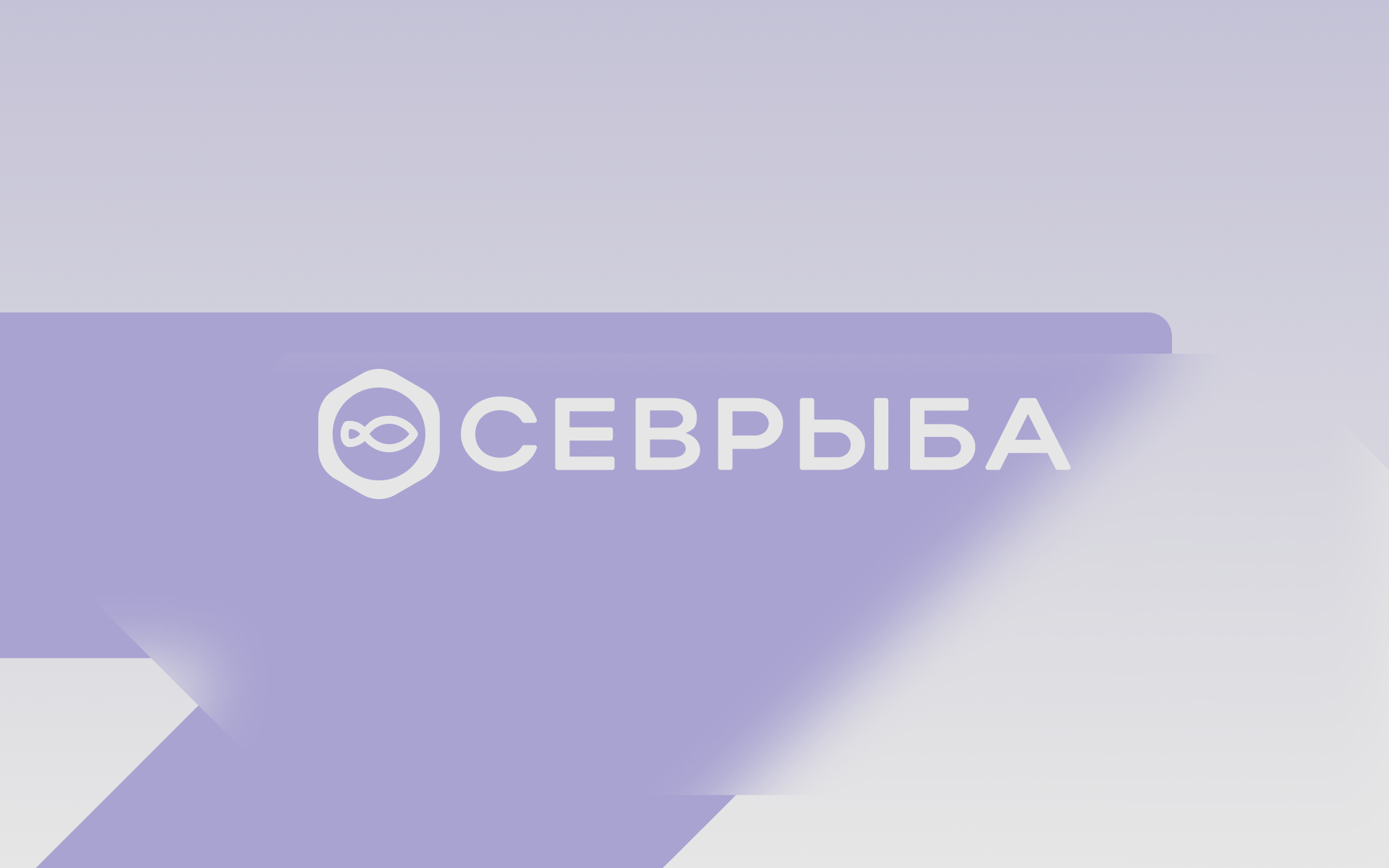СЕВРЫБА — Изображение №5 — Брендинг на Dprofile
