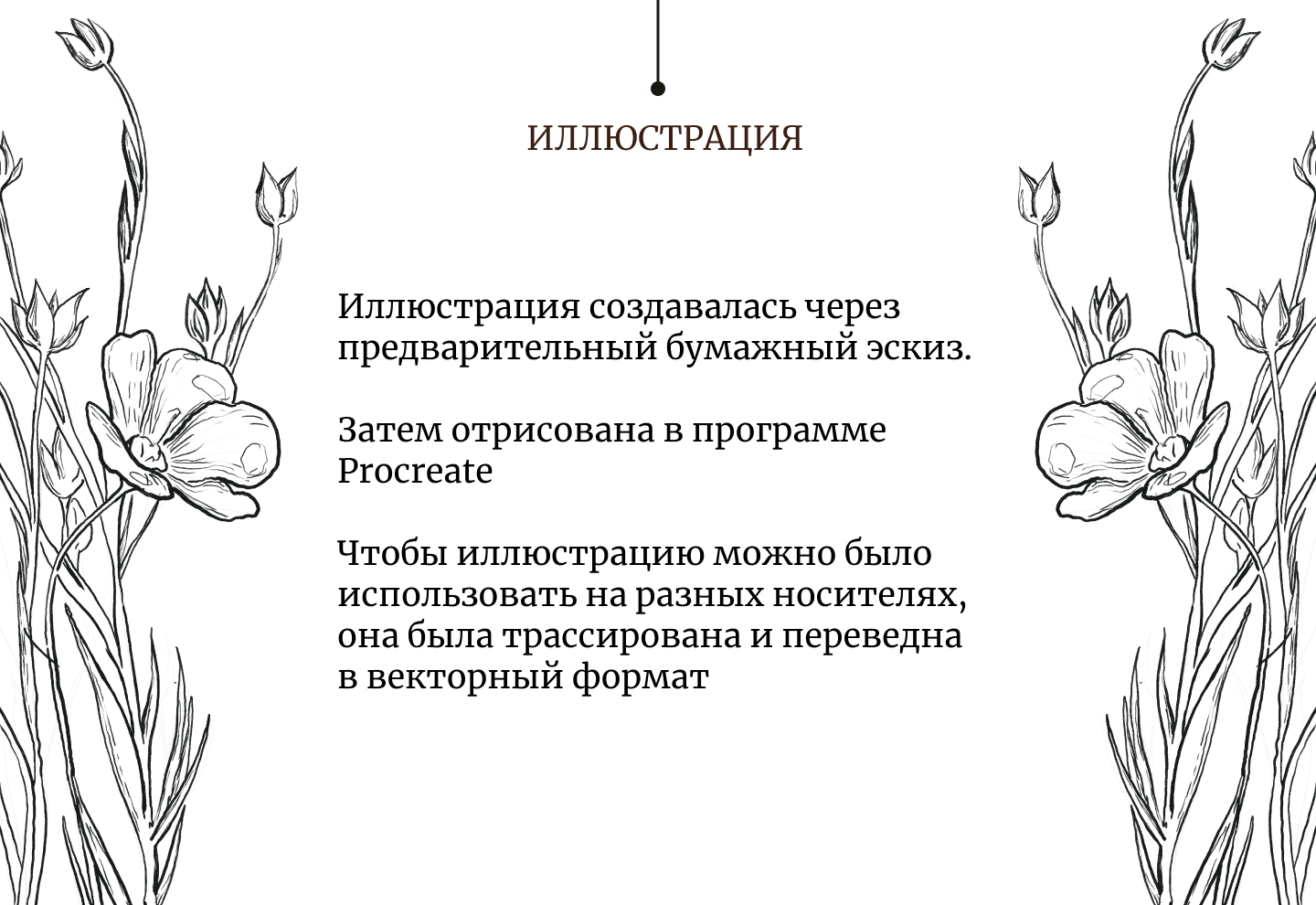Фирменный стиль сыродавленых масел Ave Oleum — Изображение №4 — Брендинг, Иллюстрация на Dprofile