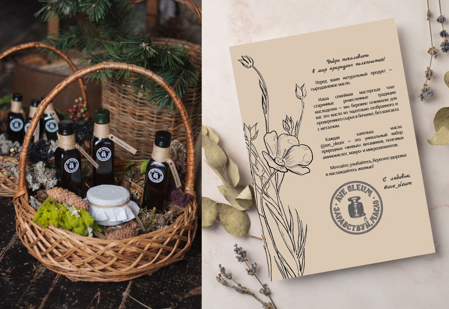 Фирменный стиль сыродавленых масел Ave Oleum — Изображение №9 — Брендинг, Иллюстрация на Dprofile