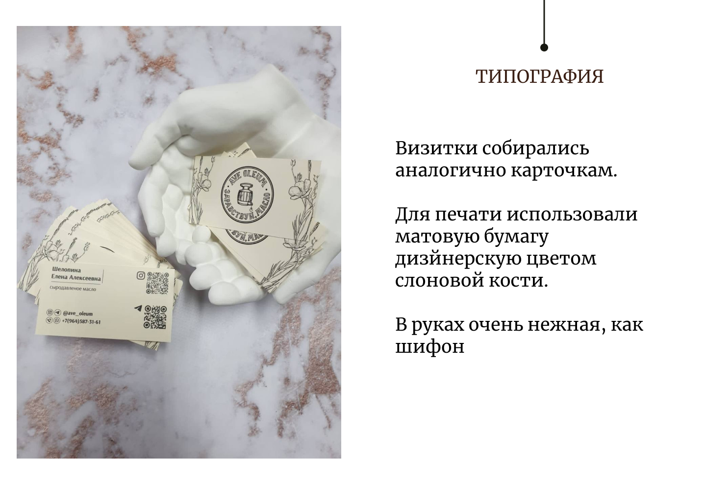 Фирменный стиль сыродавленых масел Ave Oleum — Изображение №8 — Брендинг, Иллюстрация на Dprofile