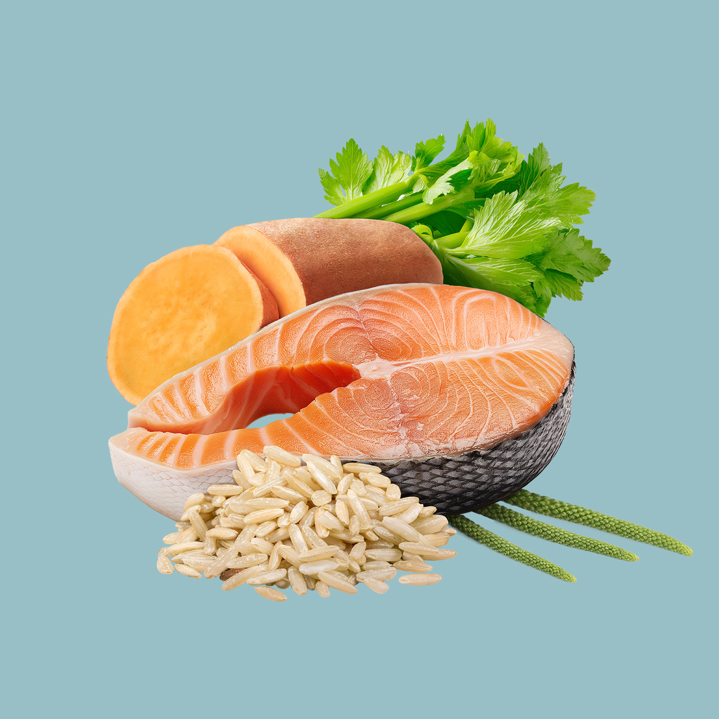 Elato Holistic Lite — Изображение №4 — Брендинг на Dprofile