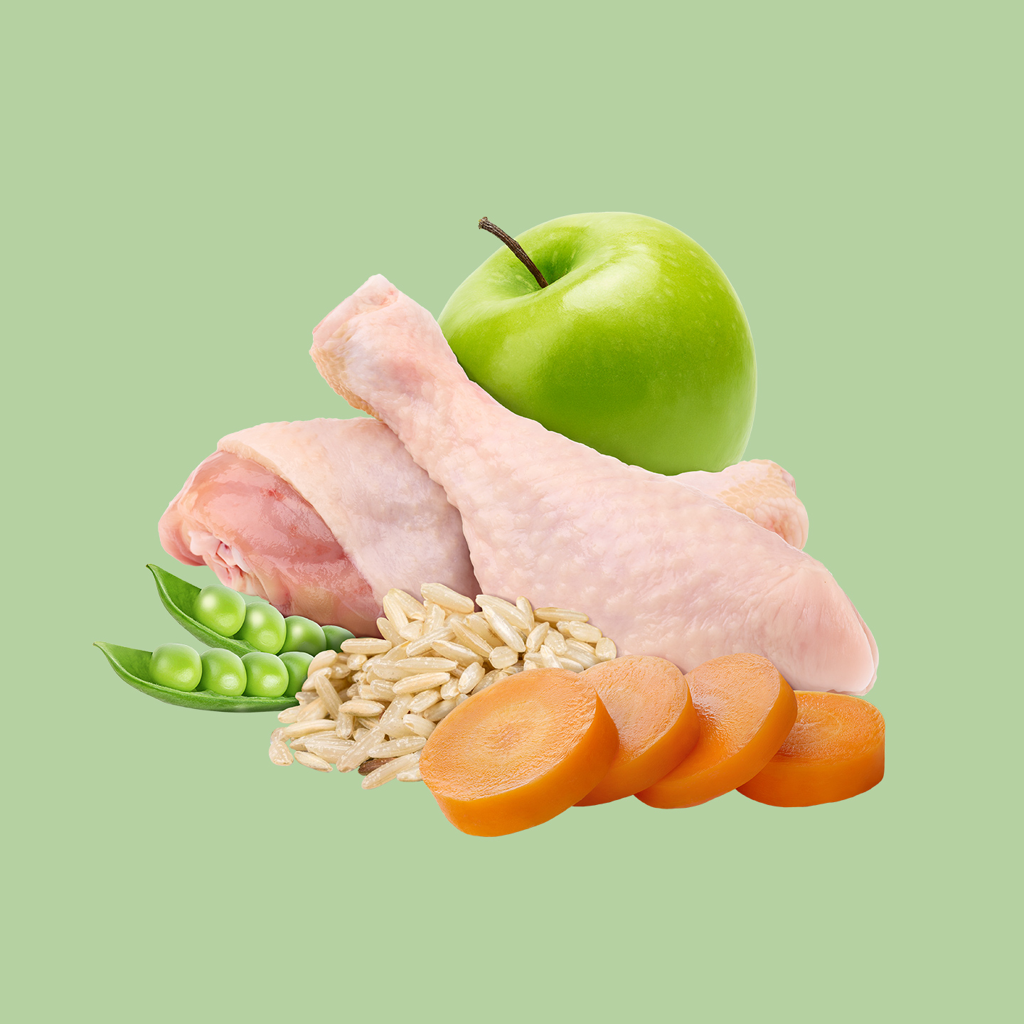 Elato Holistic Lite — Изображение №3 — Брендинг на Dprofile