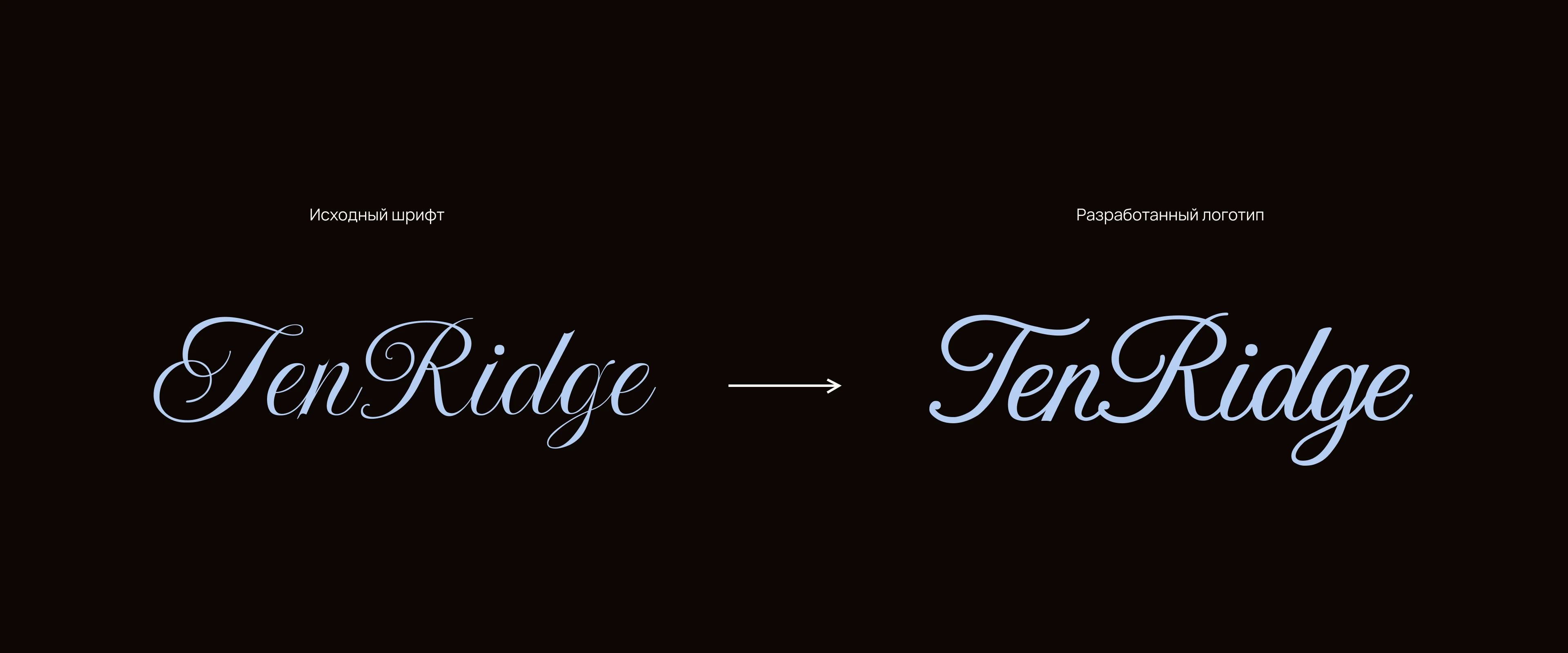 TenRidge | логотип для спортивной одежды для тенниса — Изображение №2 — Брендинг на Dprofile