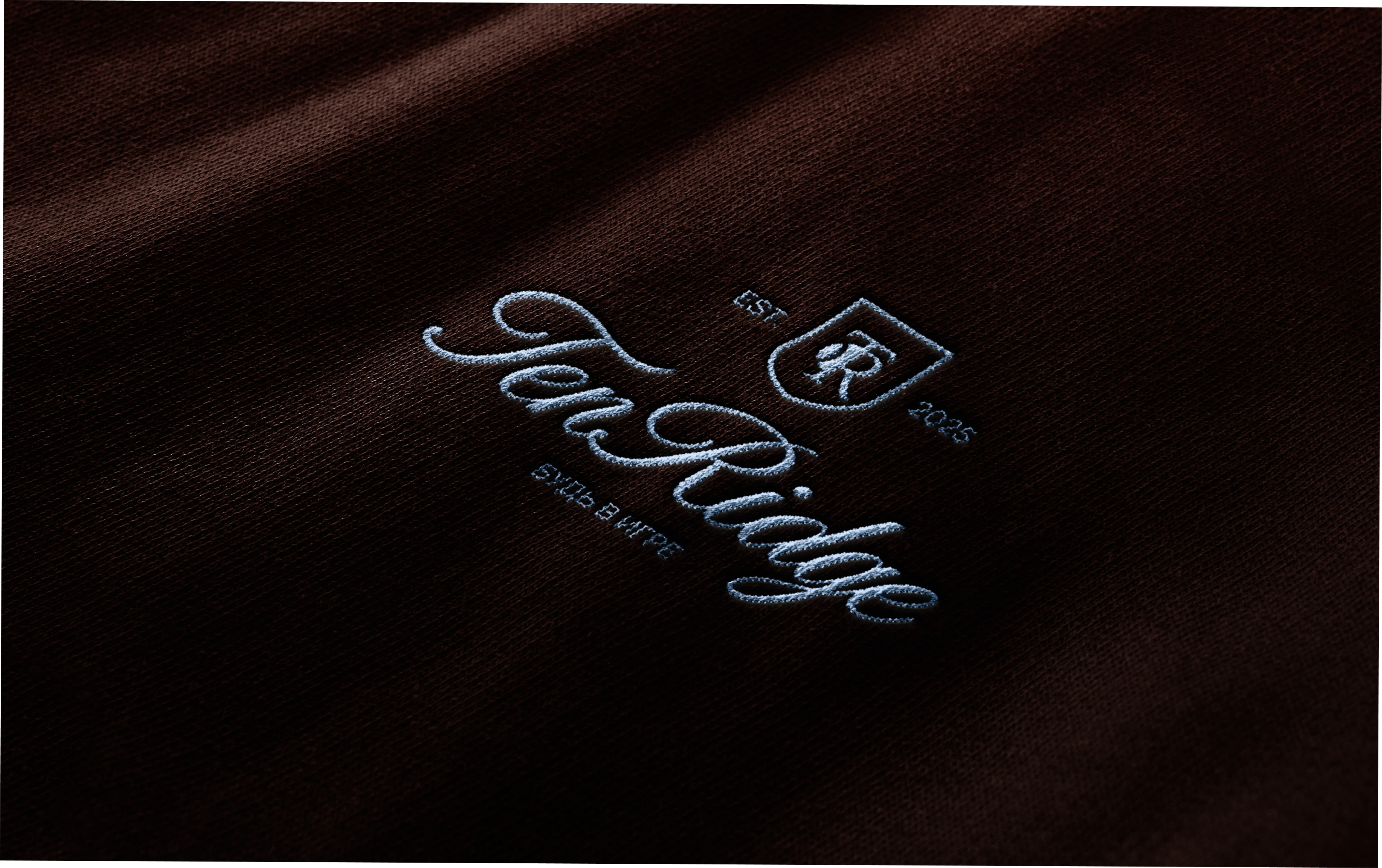 TenRidge | логотип для спортивной одежды для тенниса — Изображение №1 — Брендинг на Dprofile