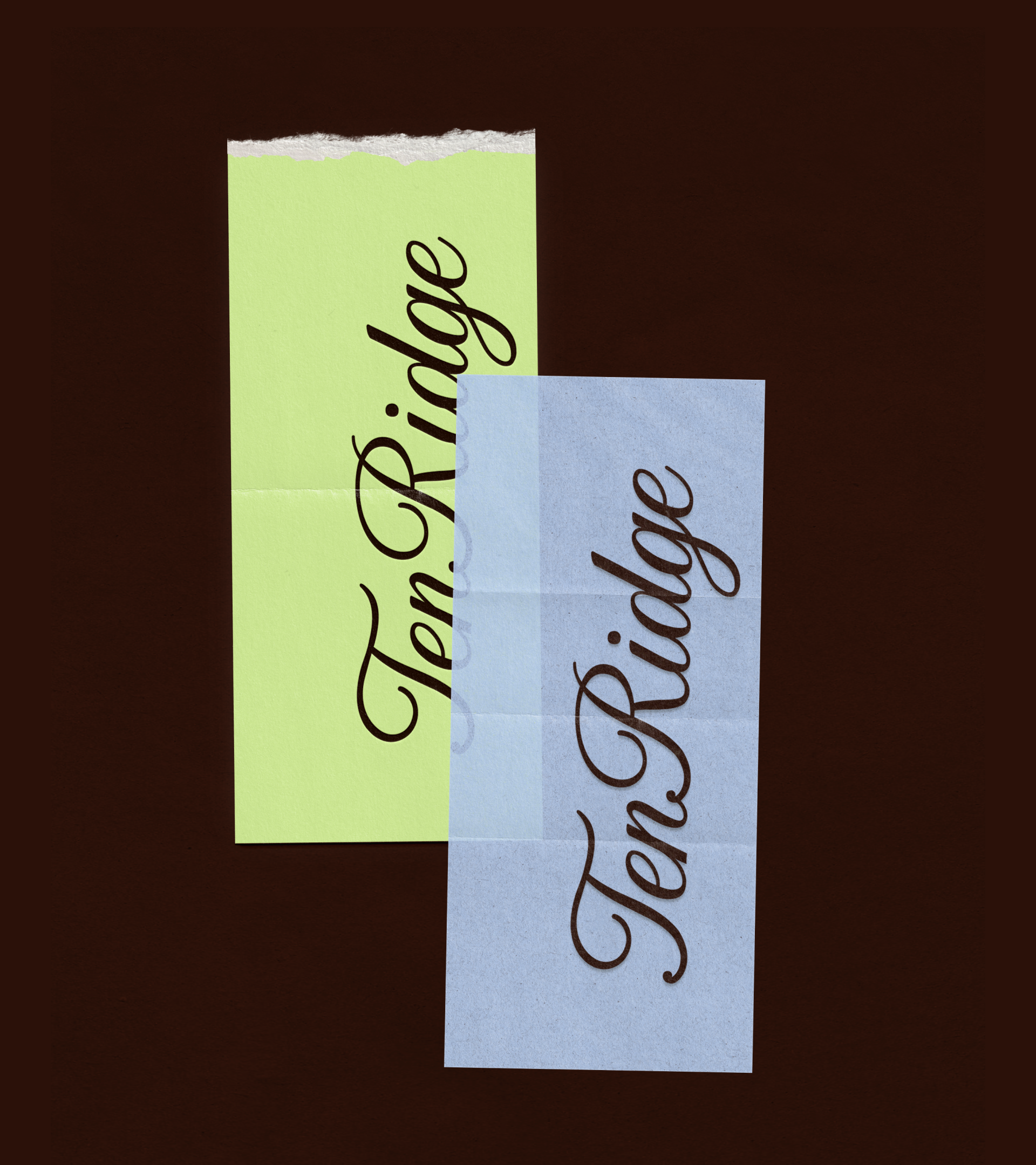 TenRidge | логотип для спортивной одежды для тенниса — Изображение №7 — Брендинг на Dprofile