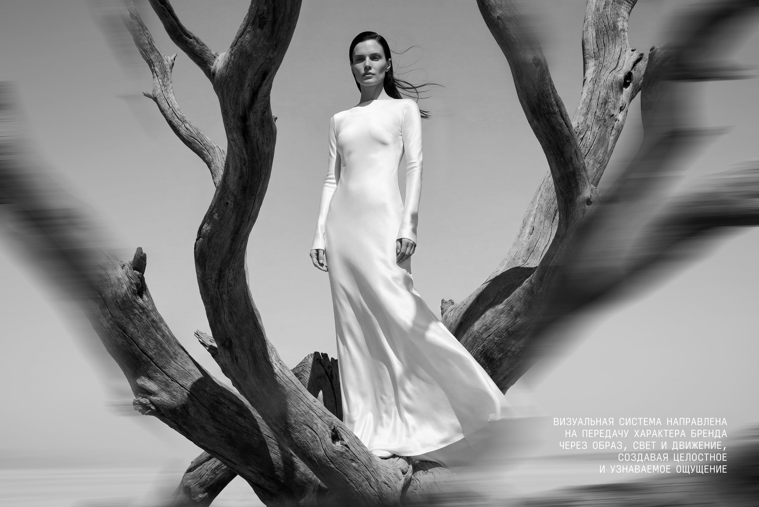 Boréal — Изображение №4 — Графика, Маркетинг на Dprofile