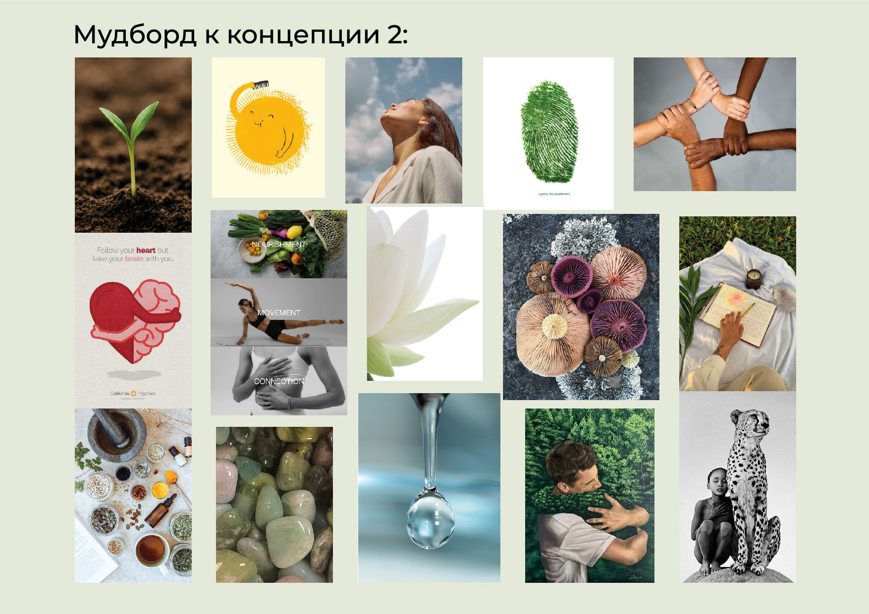 Дизайн упаковки для СТМ БАД от «СБЕР ЕАПТЕКА». — Изображение №4 — Брендинг, Графика на Dprofile