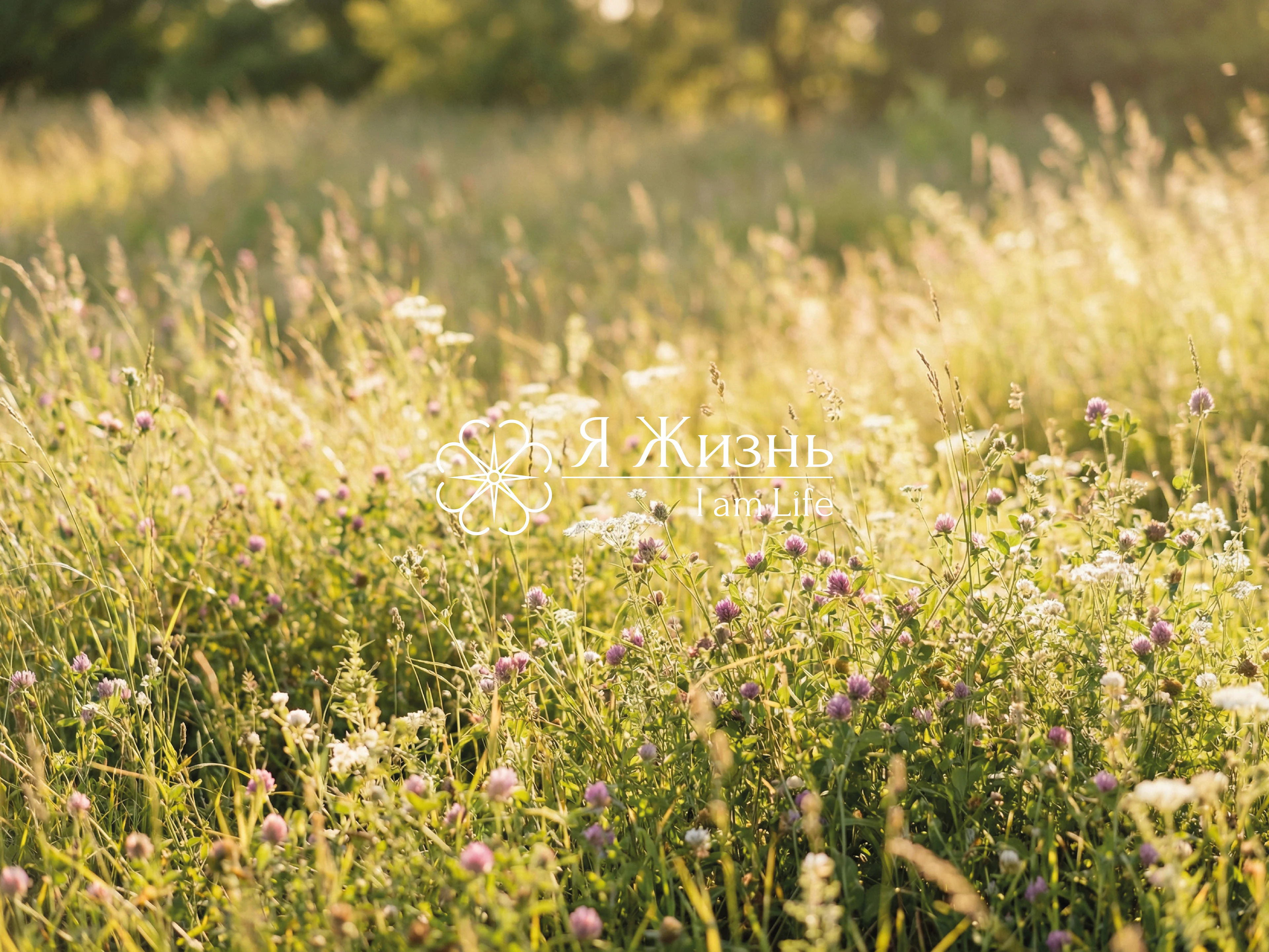 Логотип, дизайн упаковки и этикетки для крема — Изображение №2 — Брендинг на Dprofile