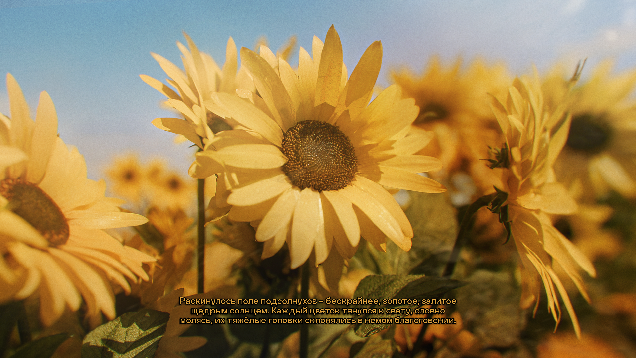 Визуал для игры Mistbound — Изображение №13 — Иллюстрация, 3D на Dprofile