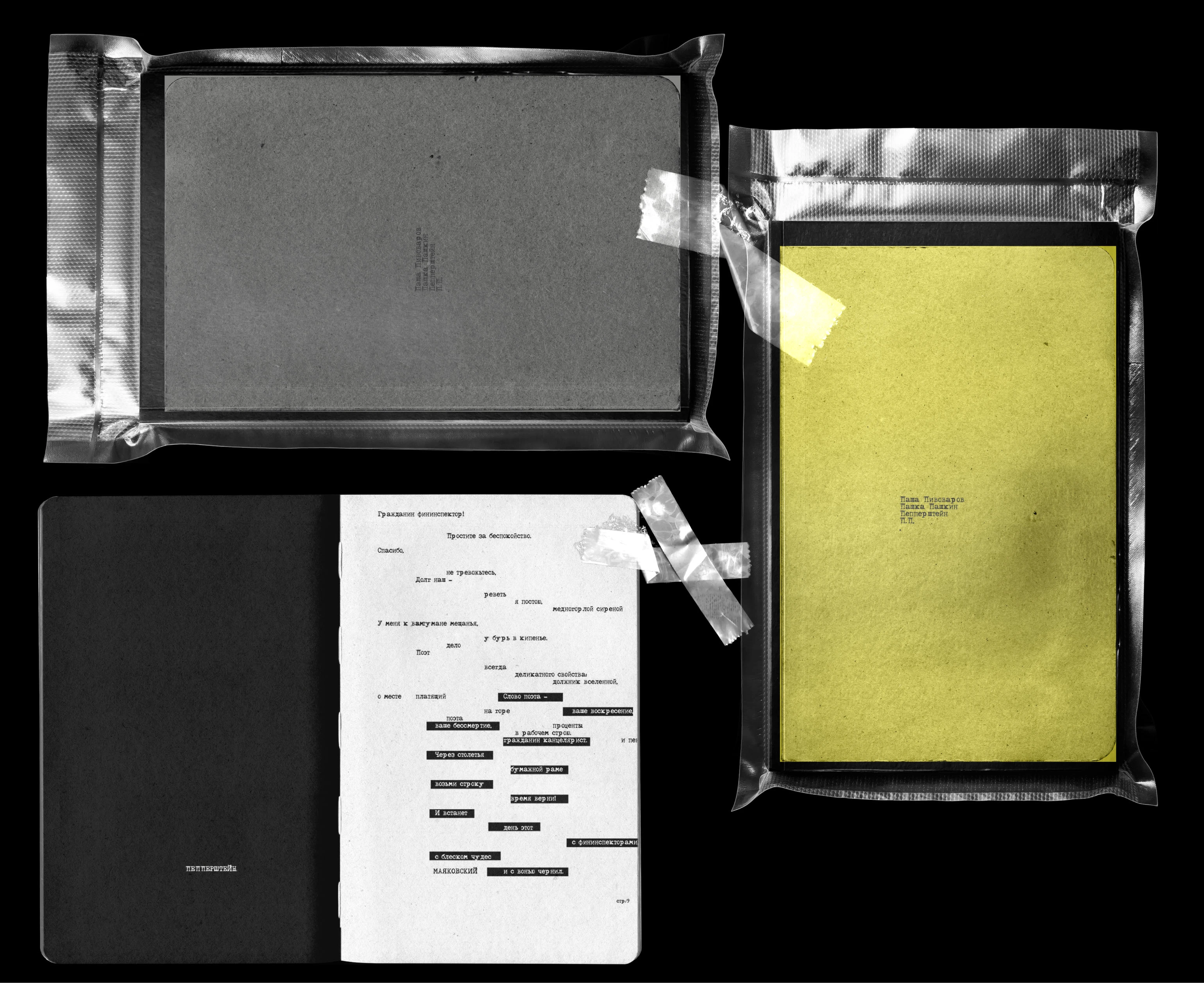 pp. not a zine. not a book. — Изображение №1 — Графика на Dprofile