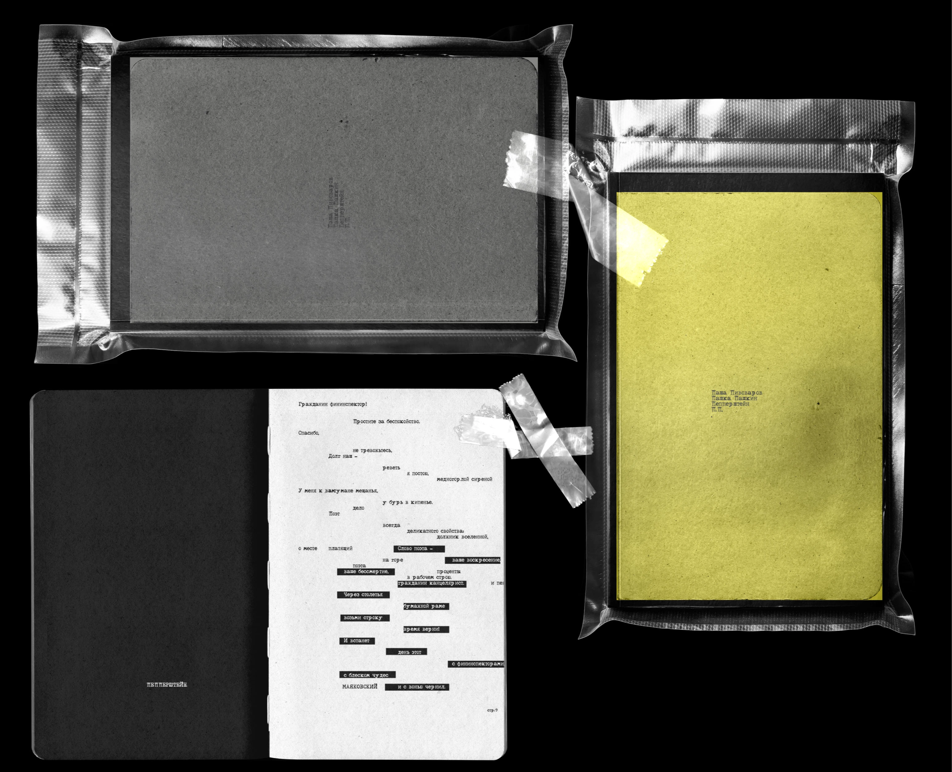 pp. not a zine. not a book. — Графика на Dprofile