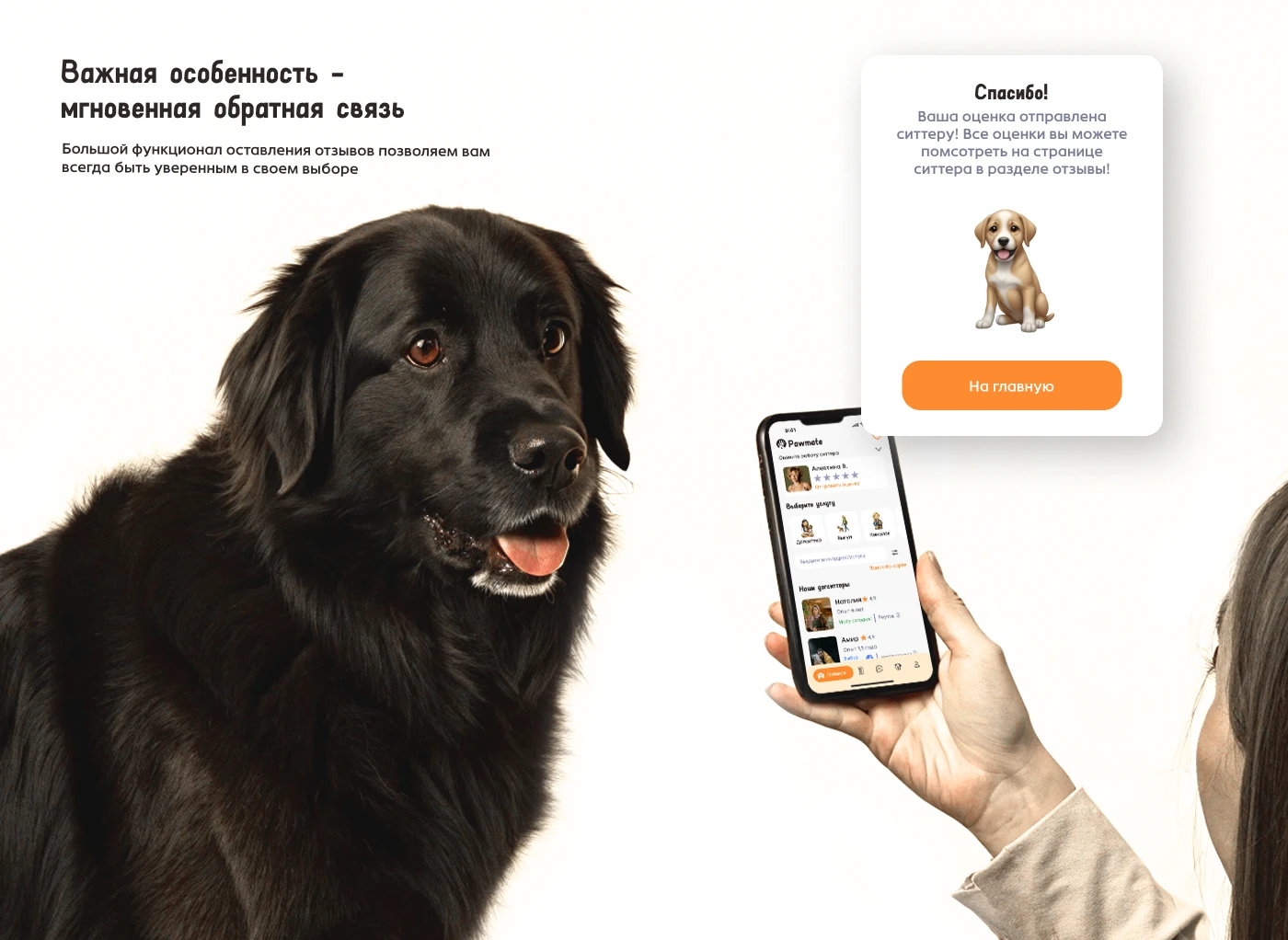 Pawmate by JANE — Изображение №10 — Интерфейсы на Dprofile