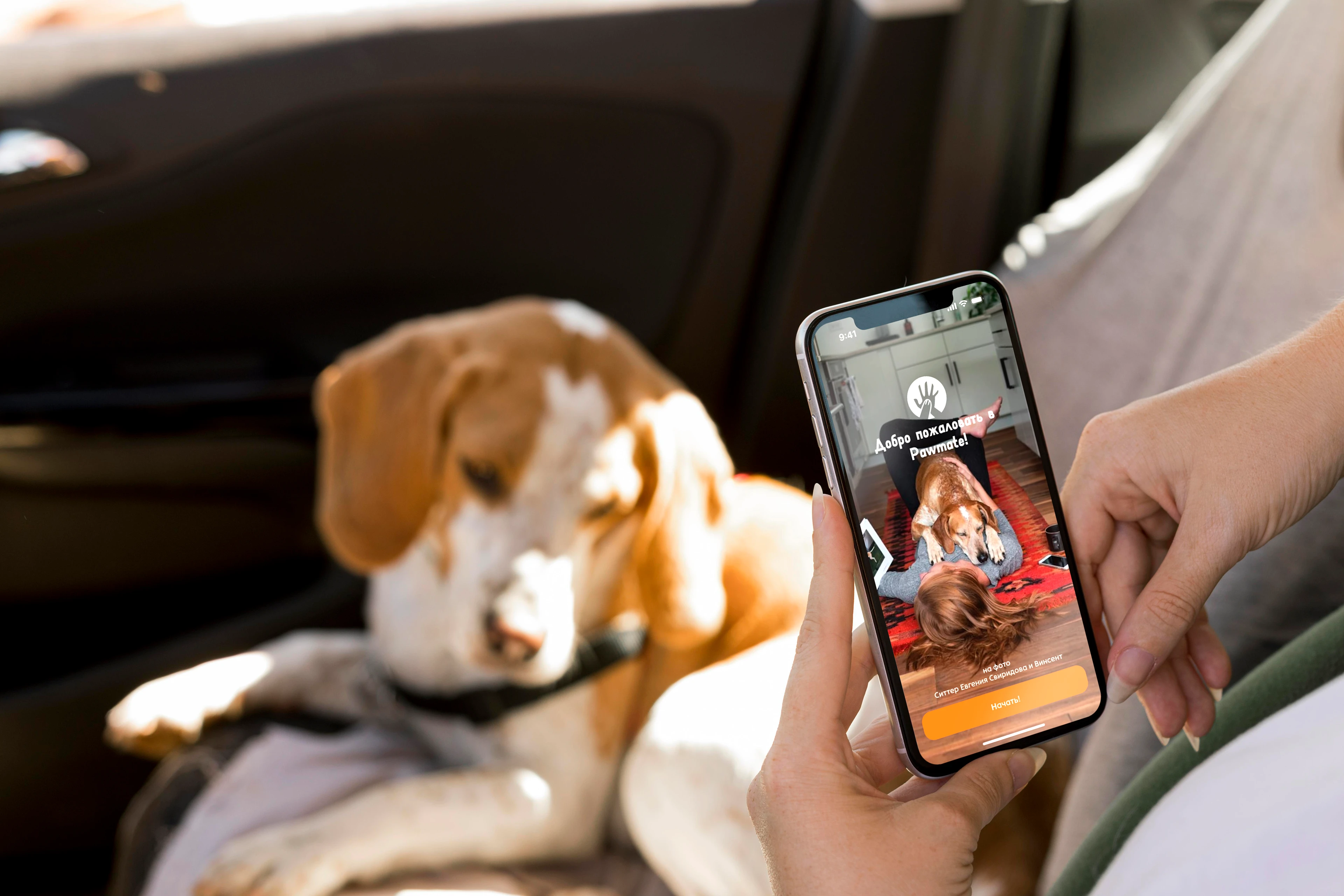 Pawmate by JANE — Изображение №2 — Интерфейсы на Dprofile