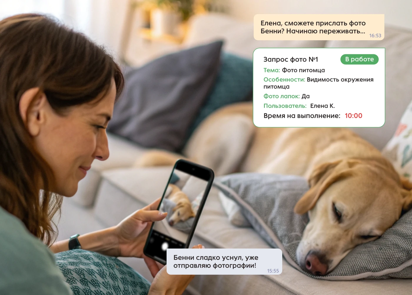 Pawmate by JANE — Изображение №9 — Интерфейсы на Dprofile