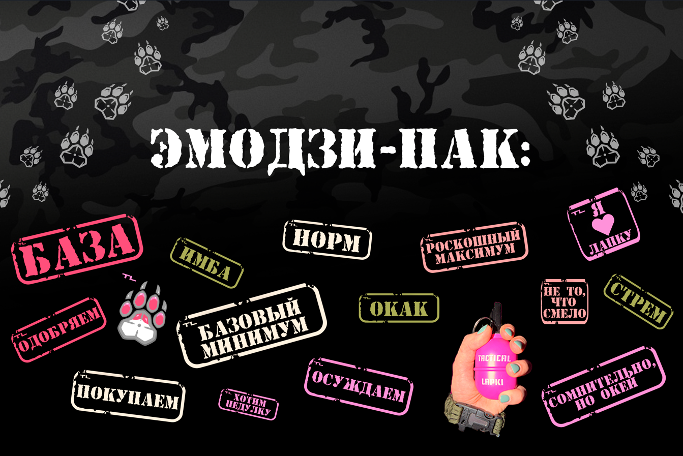 Рекламная продукция для блога TACTICAL LAPKI — Изображение №5 — Графика, Маркетинг на Dprofile