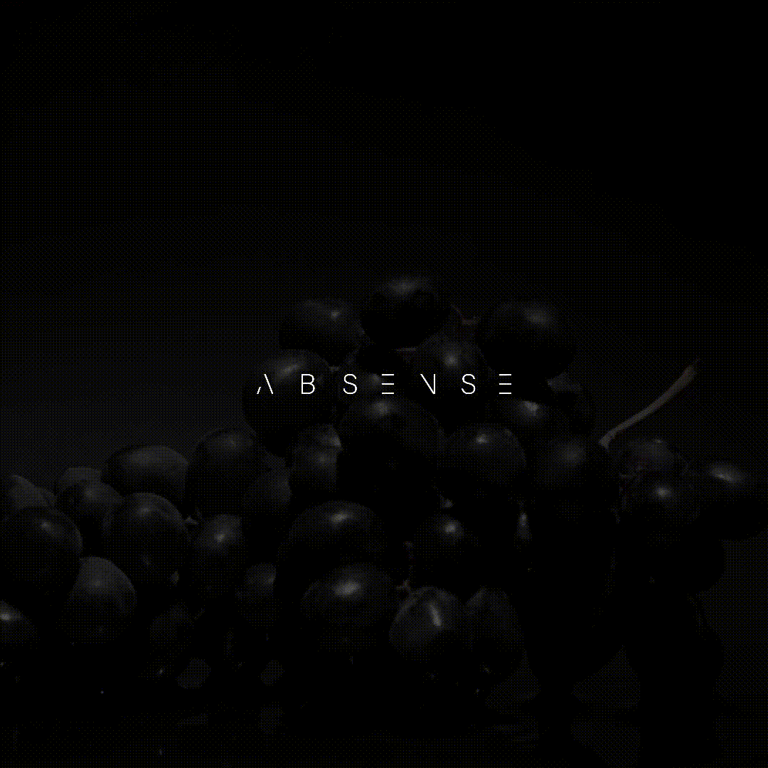 ABSENSE — Изображение №1 — Брендинг на Dprofile