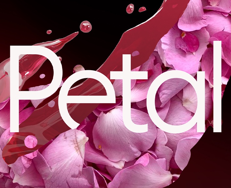 Aйдентика PETAL — Брендинг на Dprofile