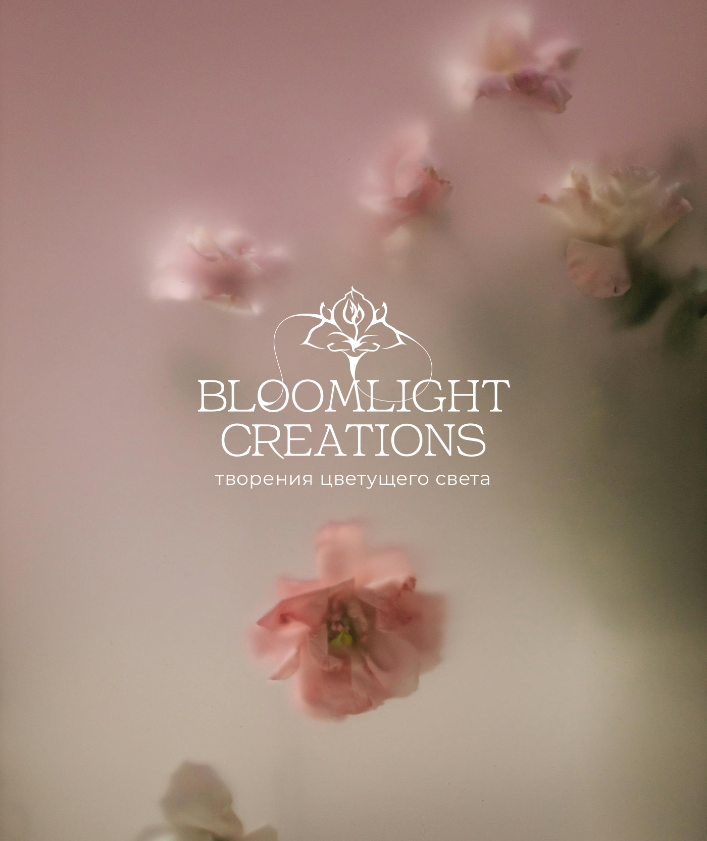 Комплексное оформление магазина / Инфографика — Изображение №1 — Брендинг, Маркетинг на Dprofile