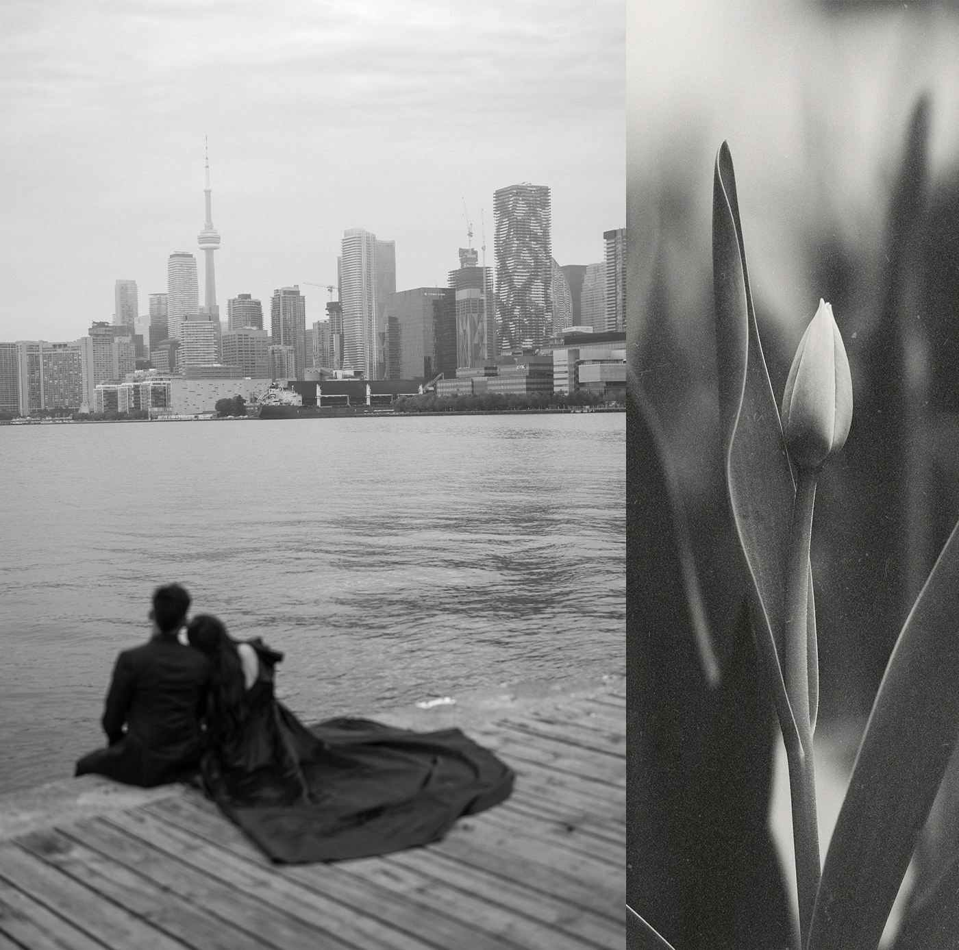 Комплексное оформление магазина / Инфографика — Изображение №5 — Брендинг, Маркетинг на Dprofile