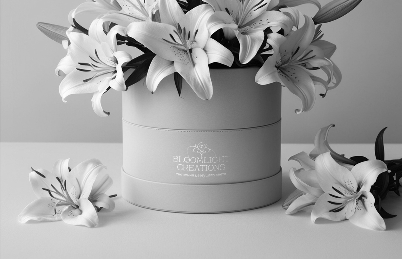 Комплексное оформление магазина / Инфографика — Изображение №2 — Брендинг, Маркетинг на Dprofile