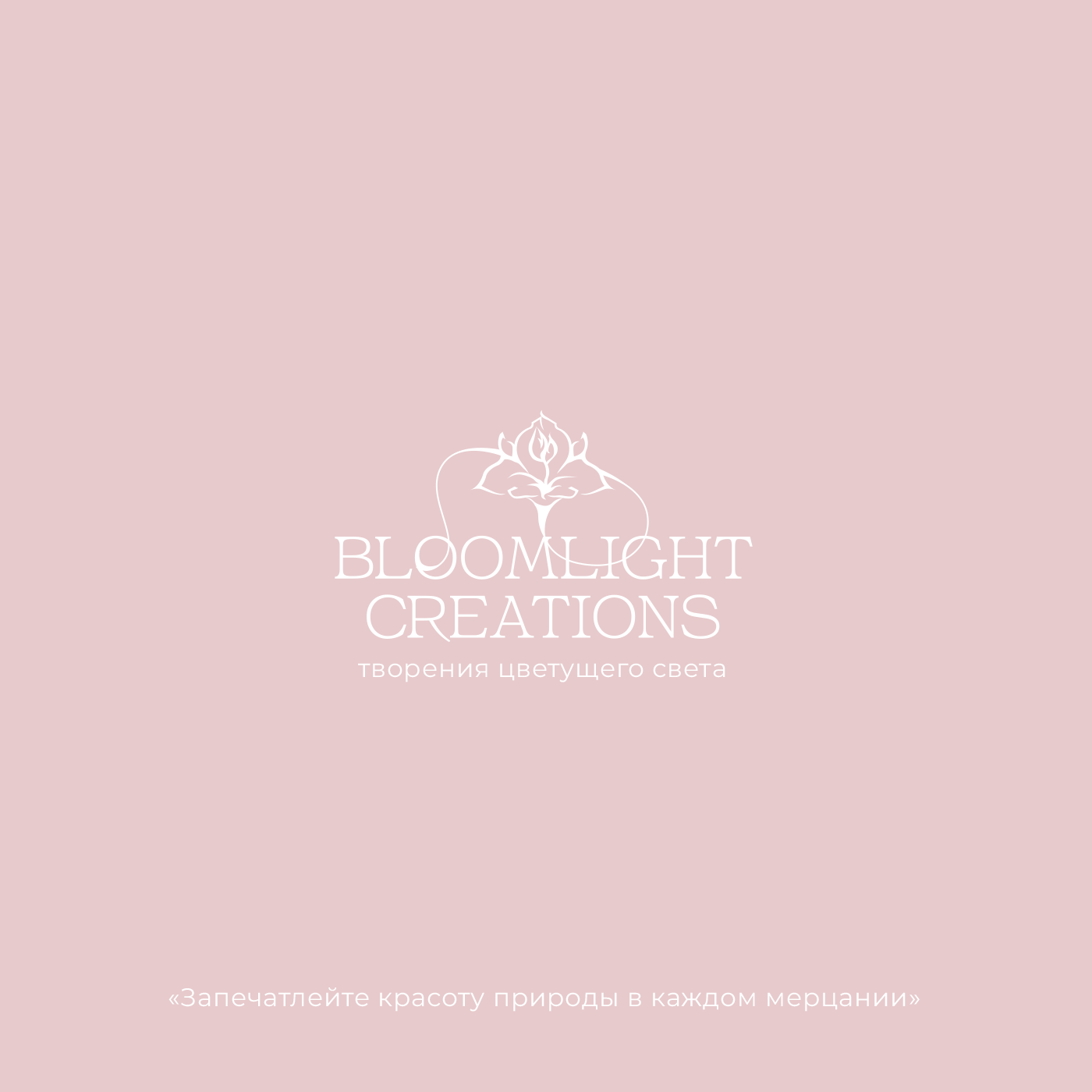 Комплексное оформление магазина / Инфографика — Изображение №4 — Брендинг, Маркетинг на Dprofile