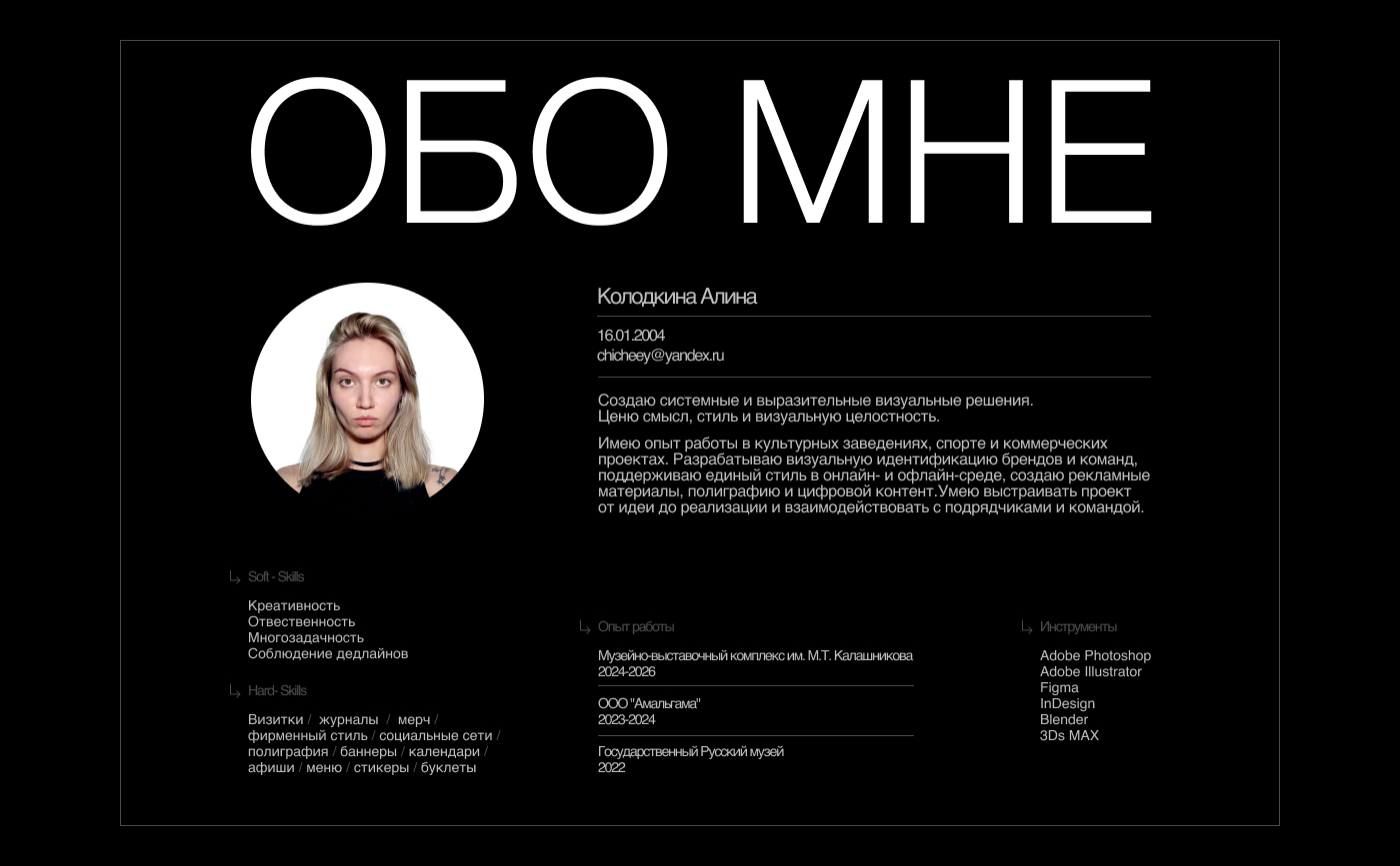 Портфолио | Колодкина Алина — Изображение №2 — Брендинг, Графика на Dprofile