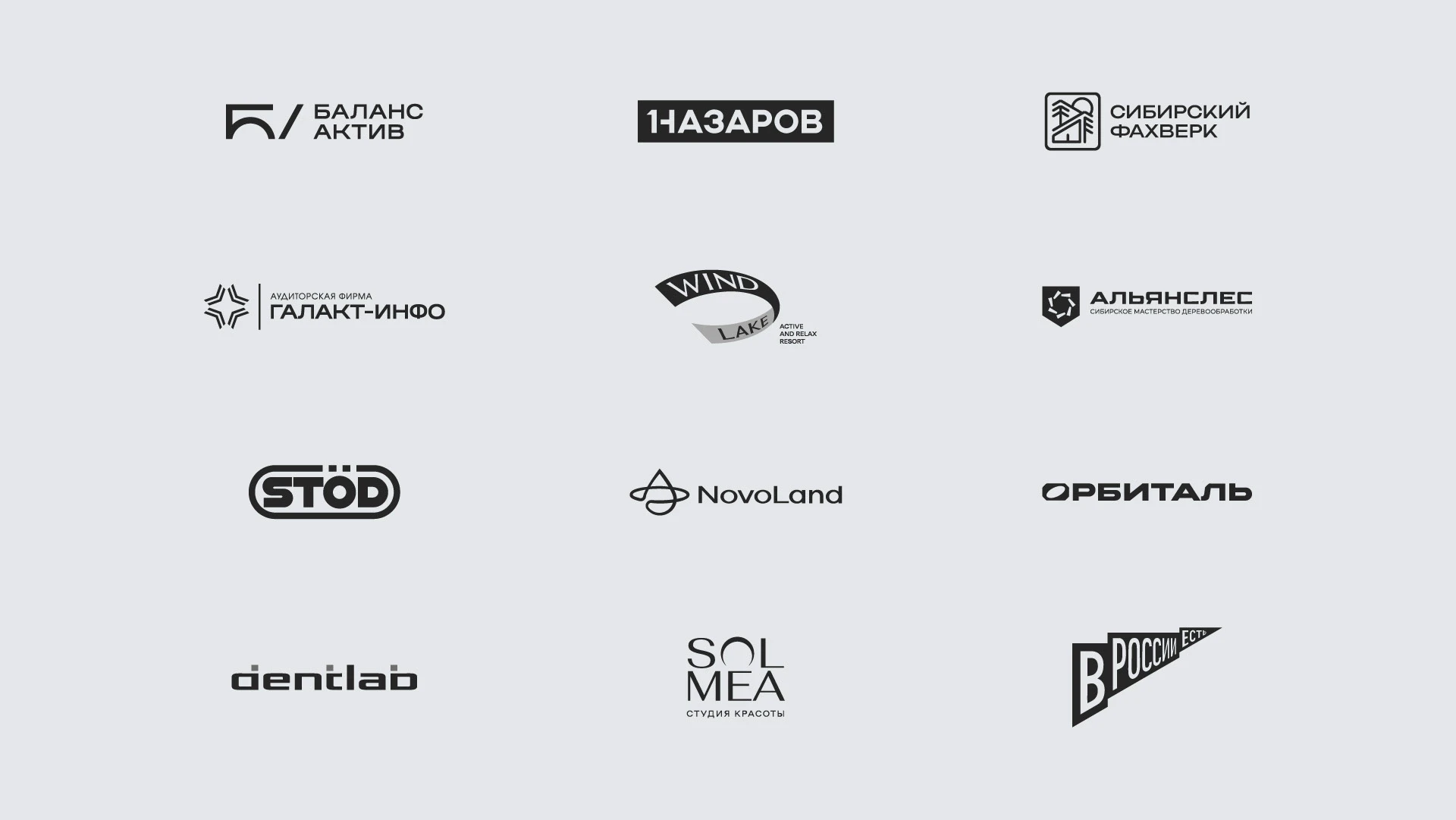 Логофолио 2025 (2) — Изображение №2 — Брендинг, Графика на Dprofile