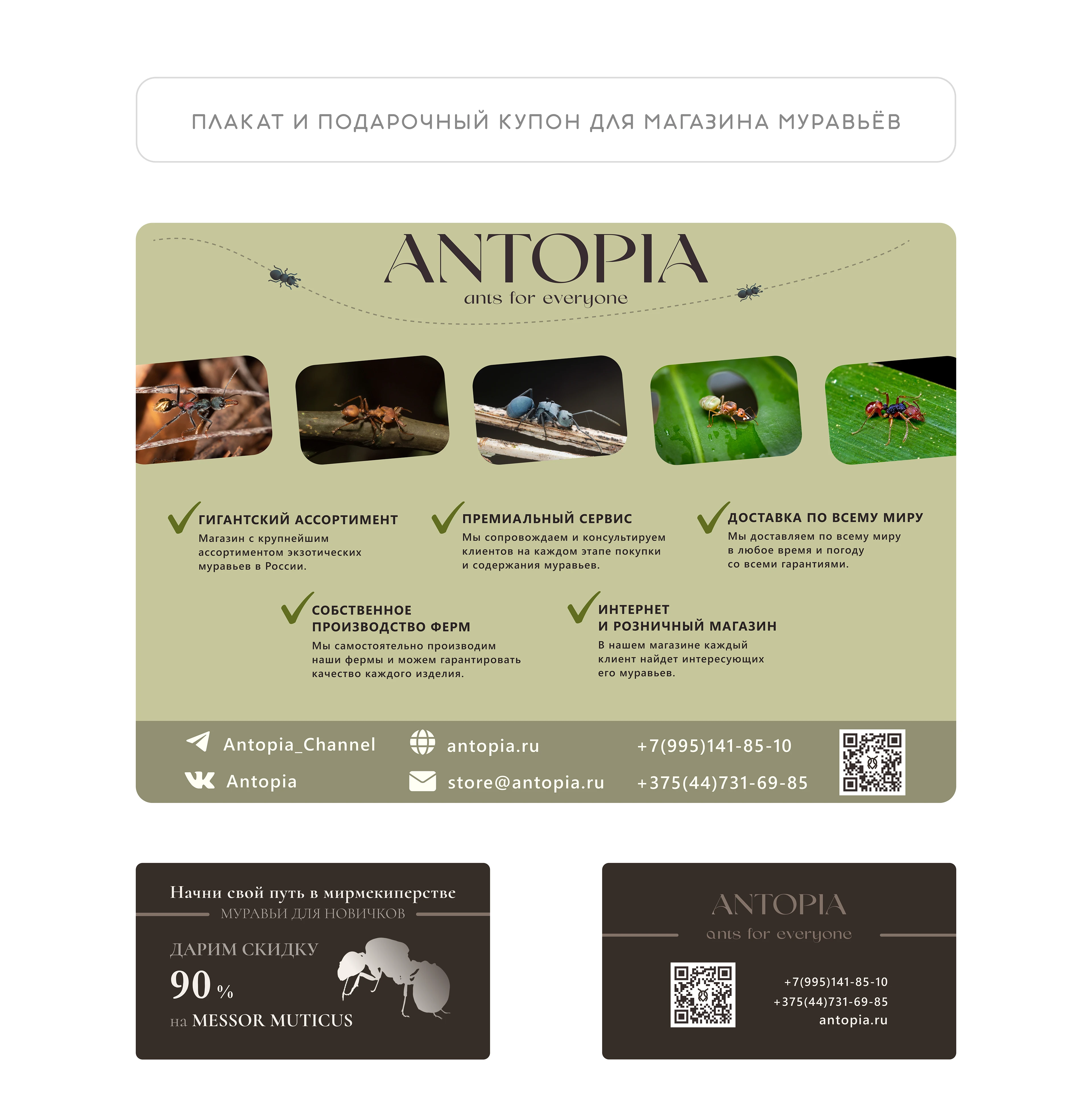 Графический дизайн|Баннеры, визитки, прайс-лист — Изображение №3 — Брендинг, Графика на Dprofile