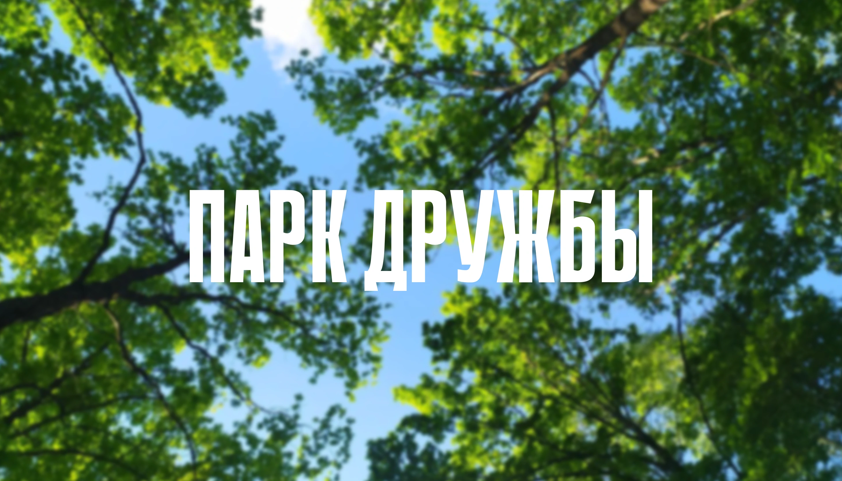 ПАРК ДРУЖБЫ | Навигация парка — Изображение №1 — Брендинг, Графика на Dprofile