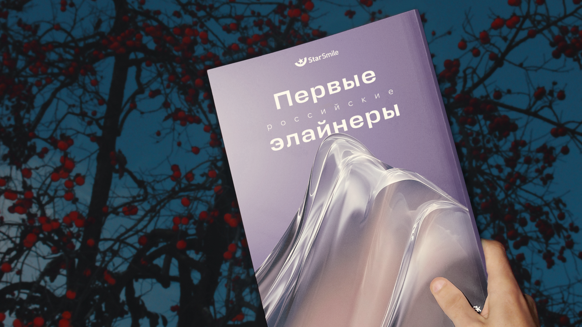 Star Smile: Визуальная эволюция лидера ортодонтии — Изображение №3 — Брендинг, Графика на Dprofile