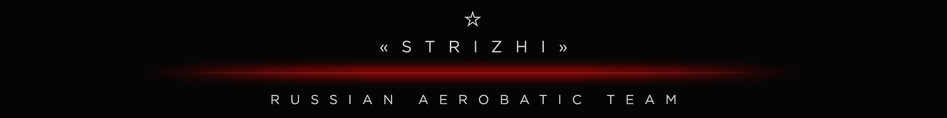 Ducati Panigale V4R "Стрижи" — Изображение №4 — Графика на Dprofile