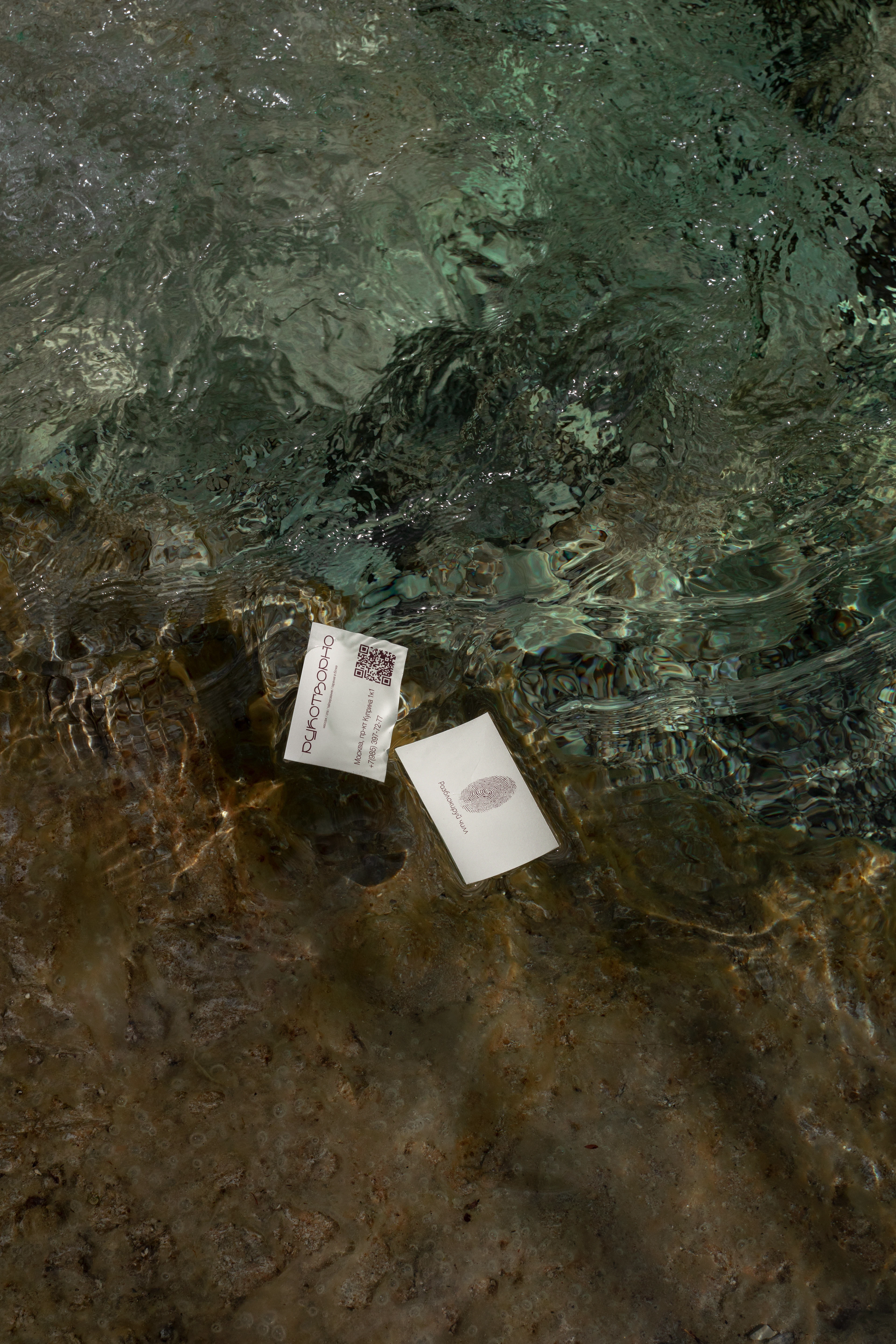 Дизайн печатной продукции — Изображение №2 — Брендинг, Графика на Dprofile