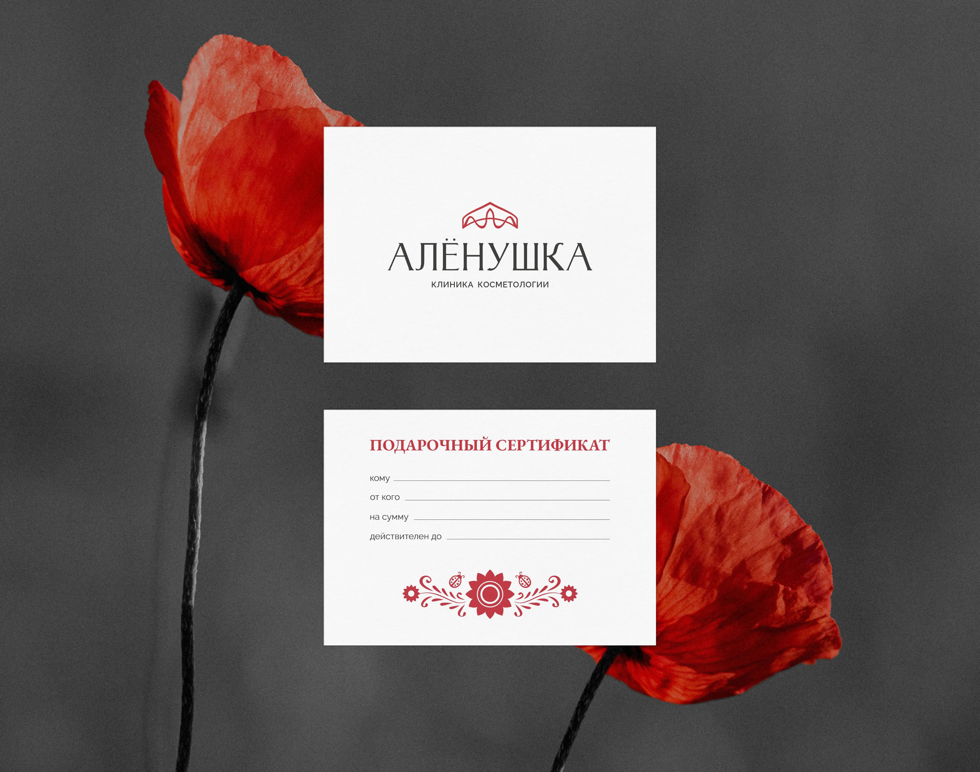 Логотип фирменный стиль брендинг для клиники косметологии — Изображение №5 — Брендинг на Dprofile