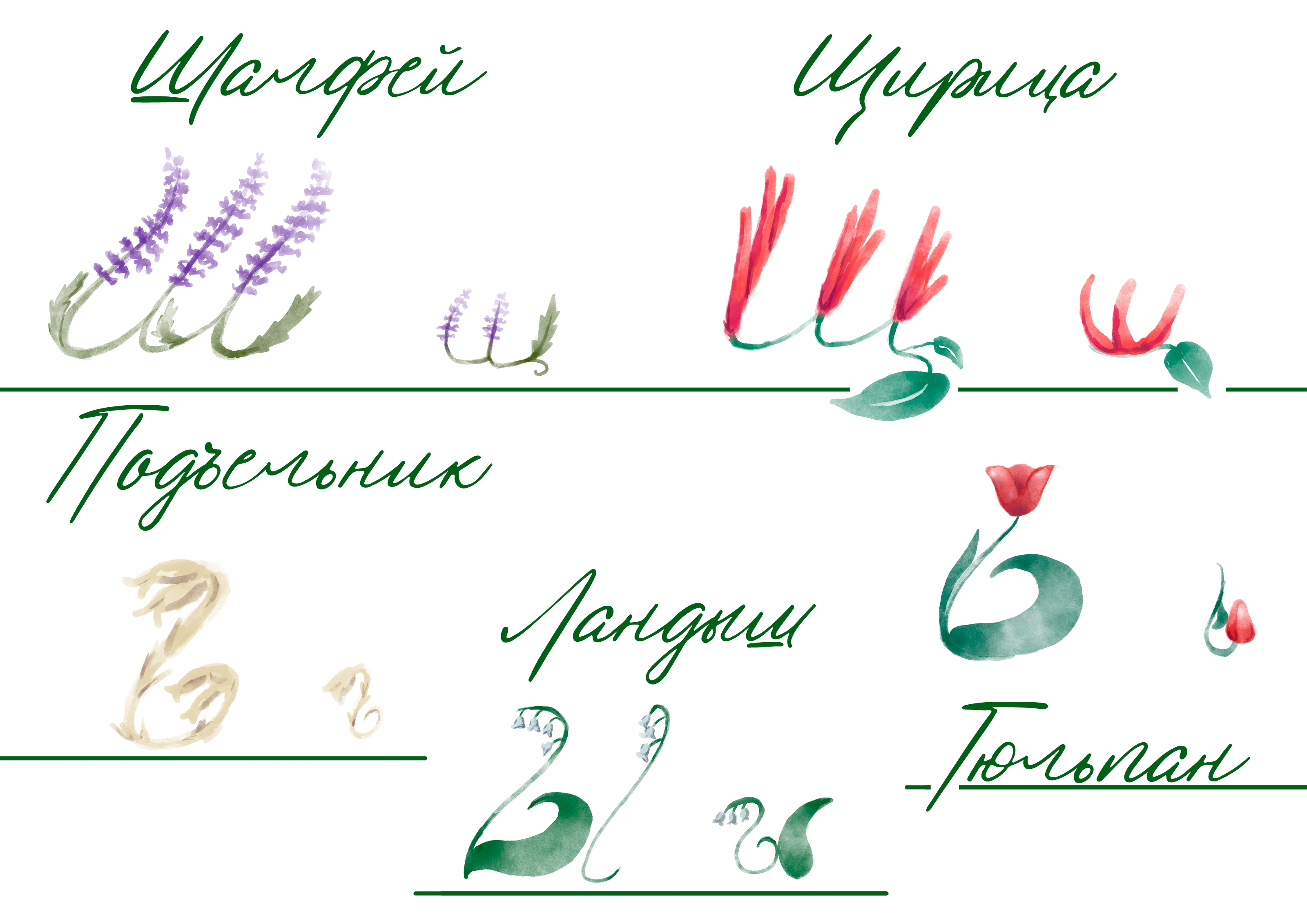 БКВЧ 2026 | Поле цветов — Изображение №15 — Иллюстрация, Графика на Dprofile