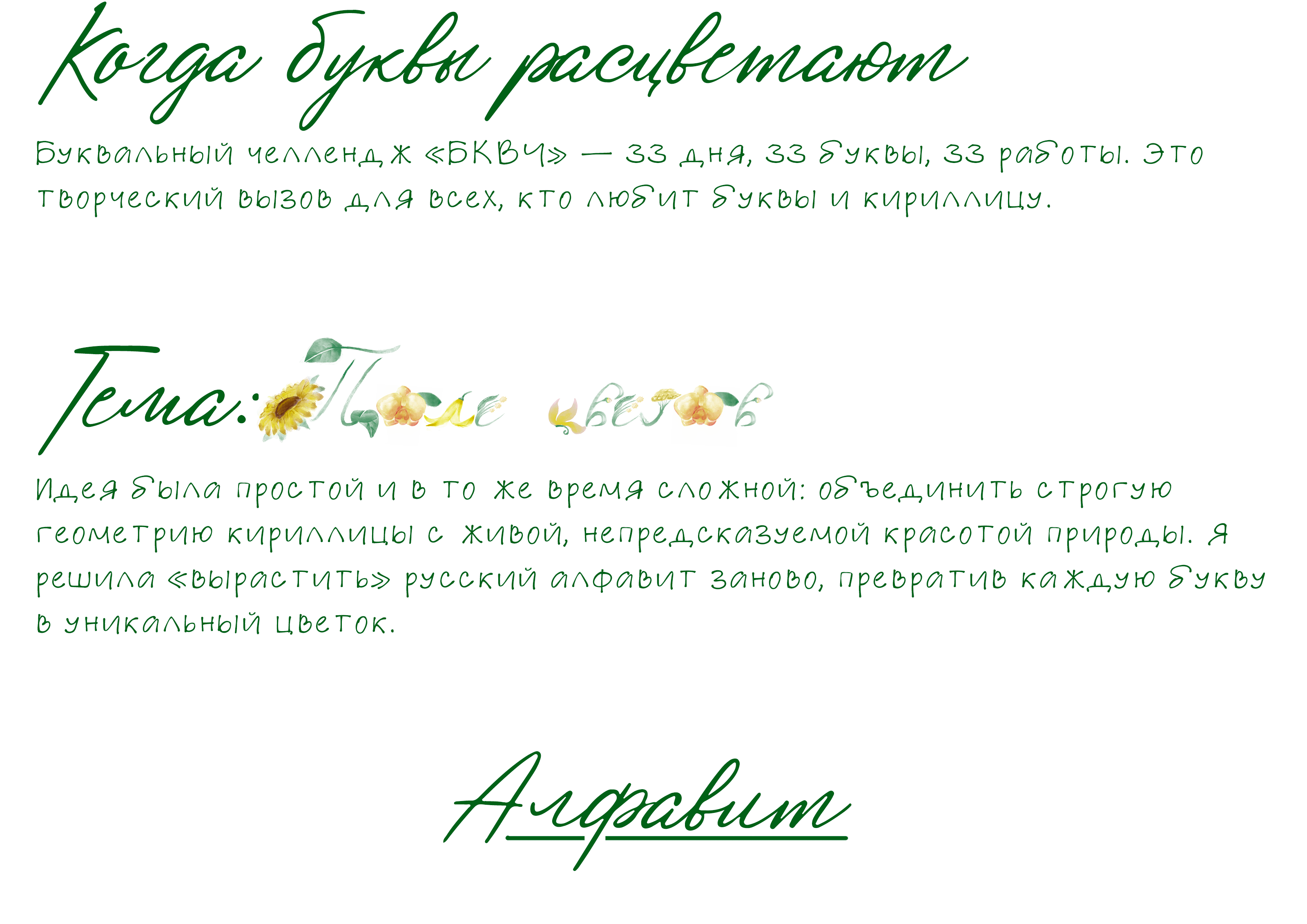 БКВЧ 2026 | Поле цветов — Изображение №2 — Иллюстрация, Графика на Dprofile