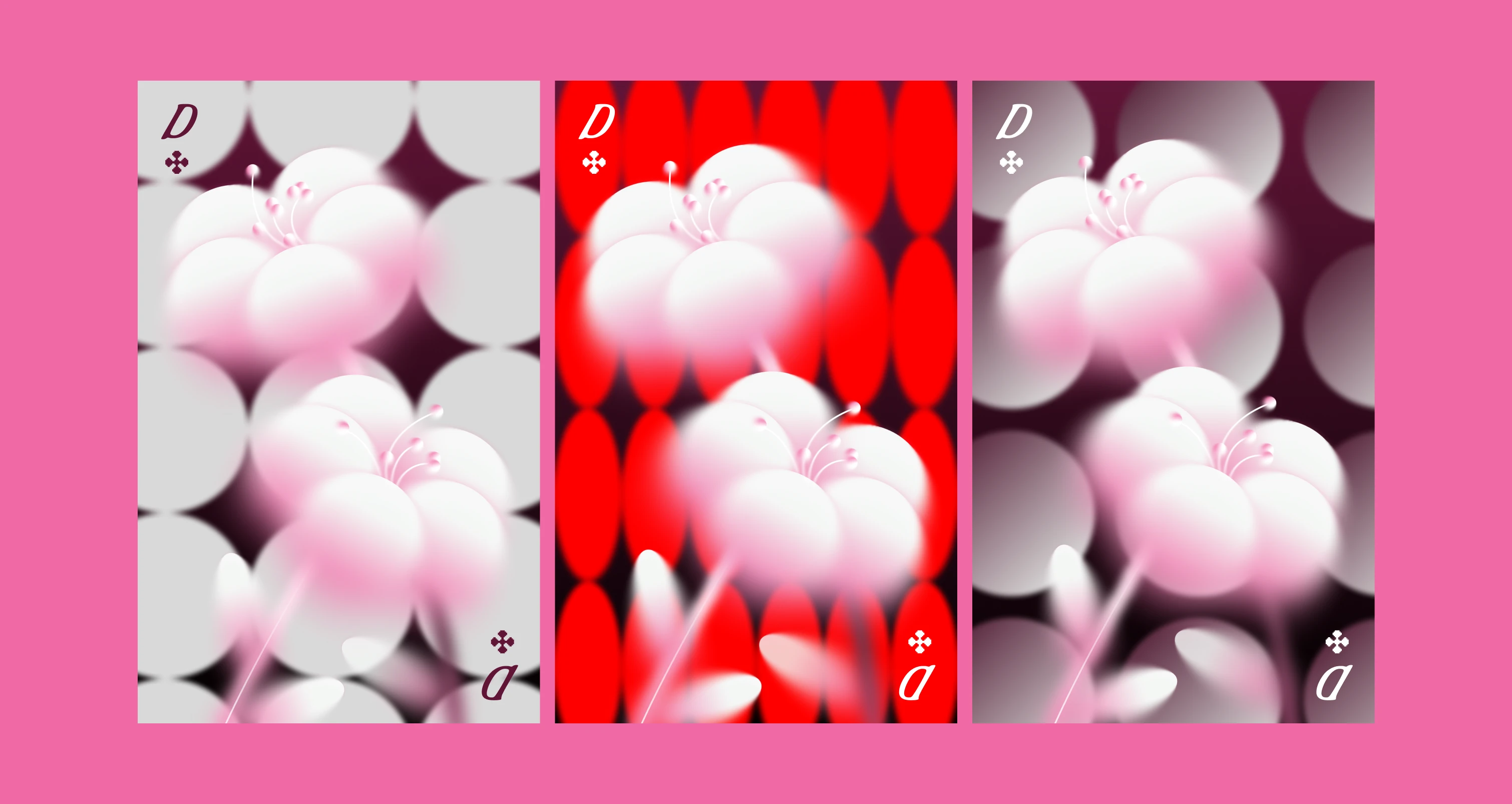Floral Fiesta — Изображение №6 — Иллюстрация на Dprofile