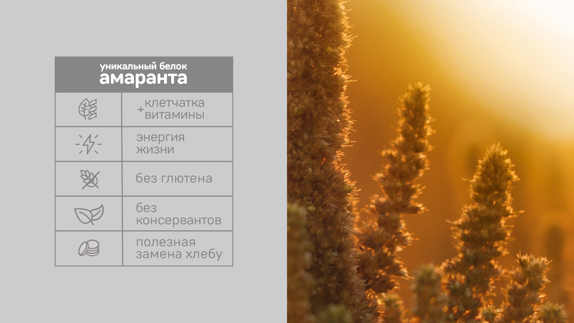 Amarancho — Изображение №5 — Брендинг на Dprofile