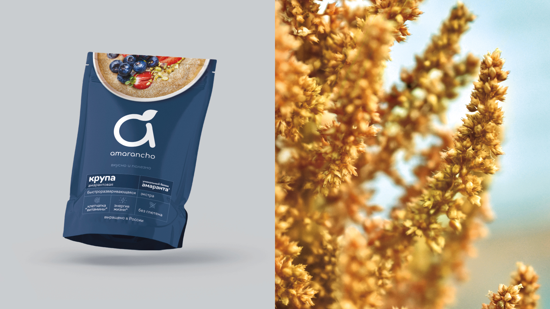 Amarancho — Изображение №3 — Брендинг на Dprofile