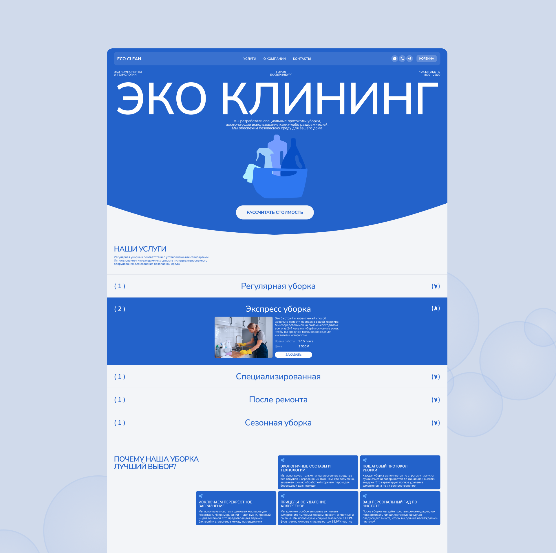 [ECO CLEAN] Commercial project — Изображение №3 — Интерфейсы, Брендинг на Dprofile