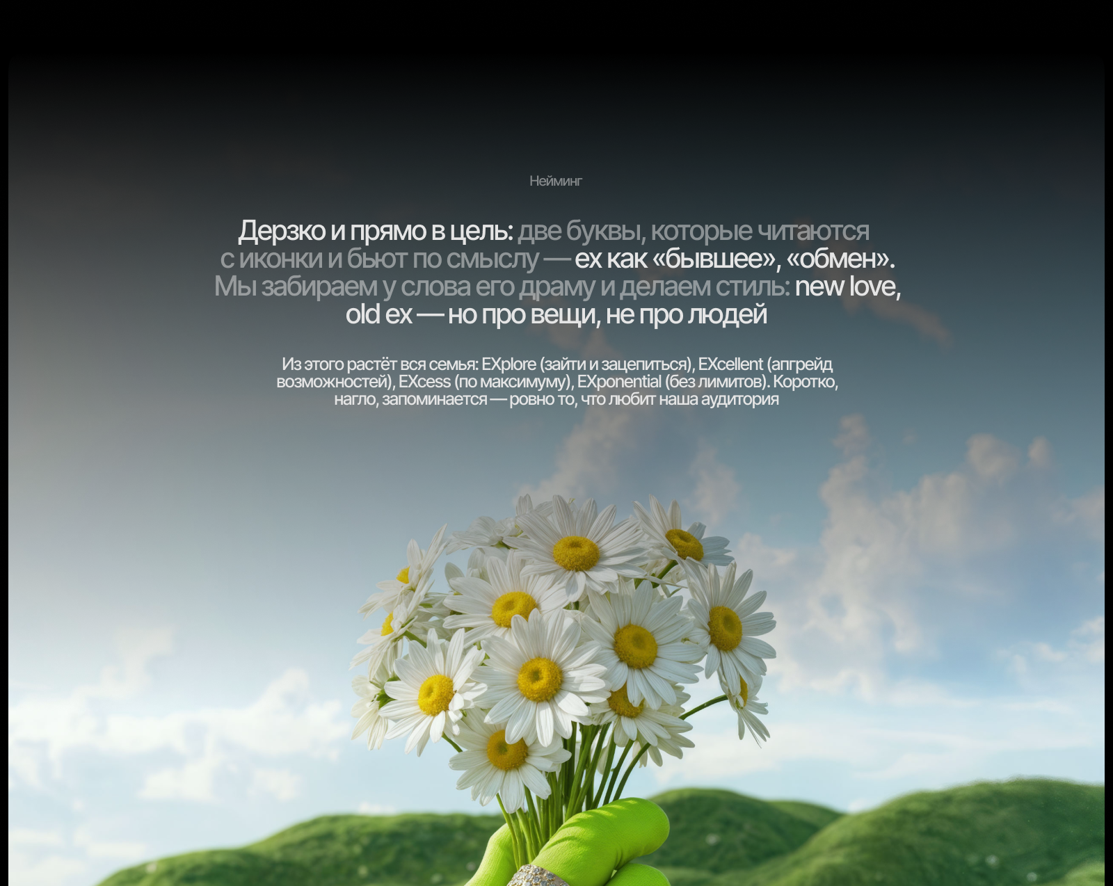 EX – маркетплейс секонд-хендов — Изображение №2 — Интерфейсы, Брендинг на Dprofile